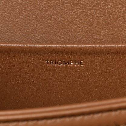 Celine Shiny Calfskin Medium Triomphe Bronze 7 of 14