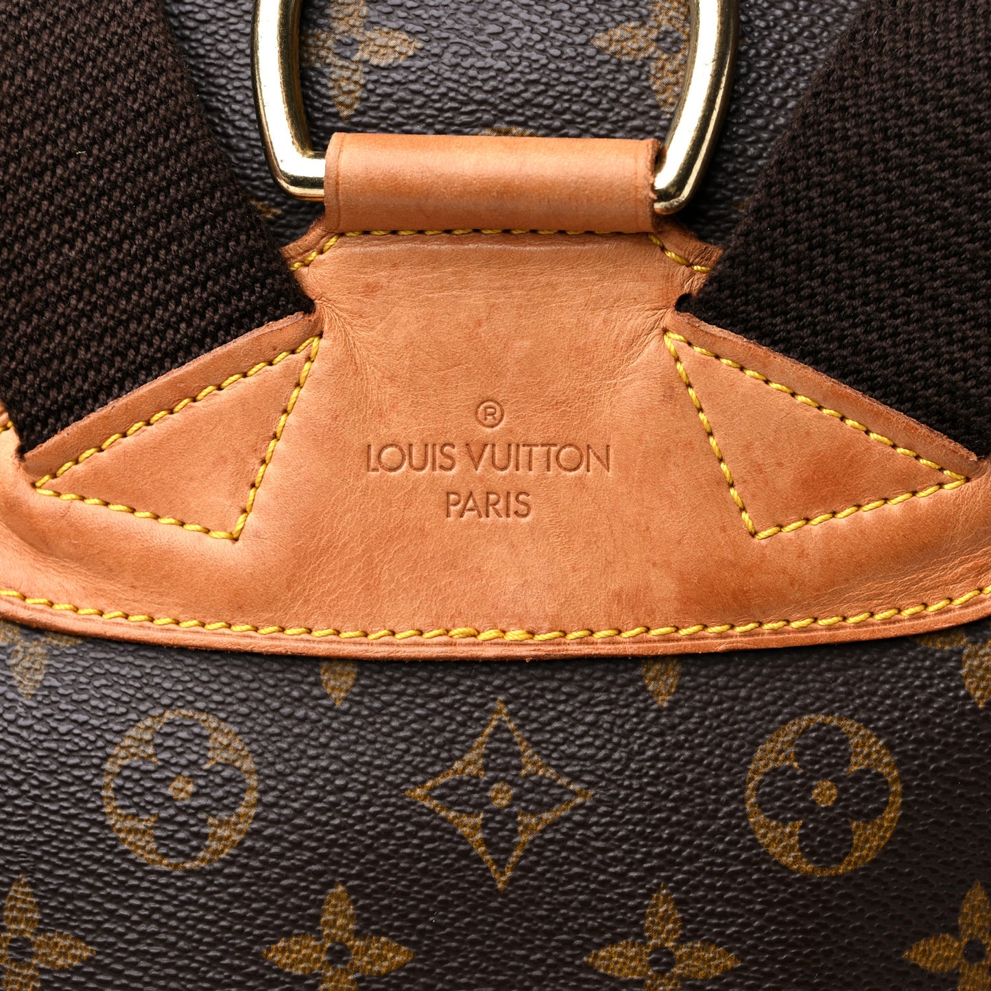 Monogram Montsouris GM Backpack