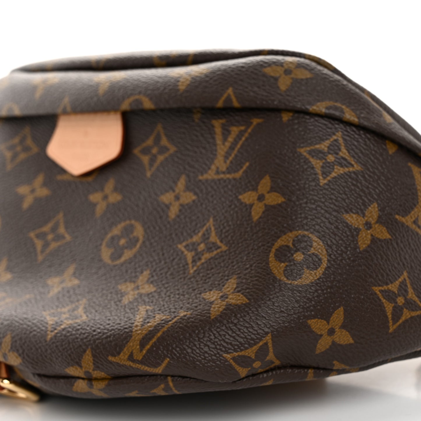 LOUIS VUITTON Monogram Bumbag