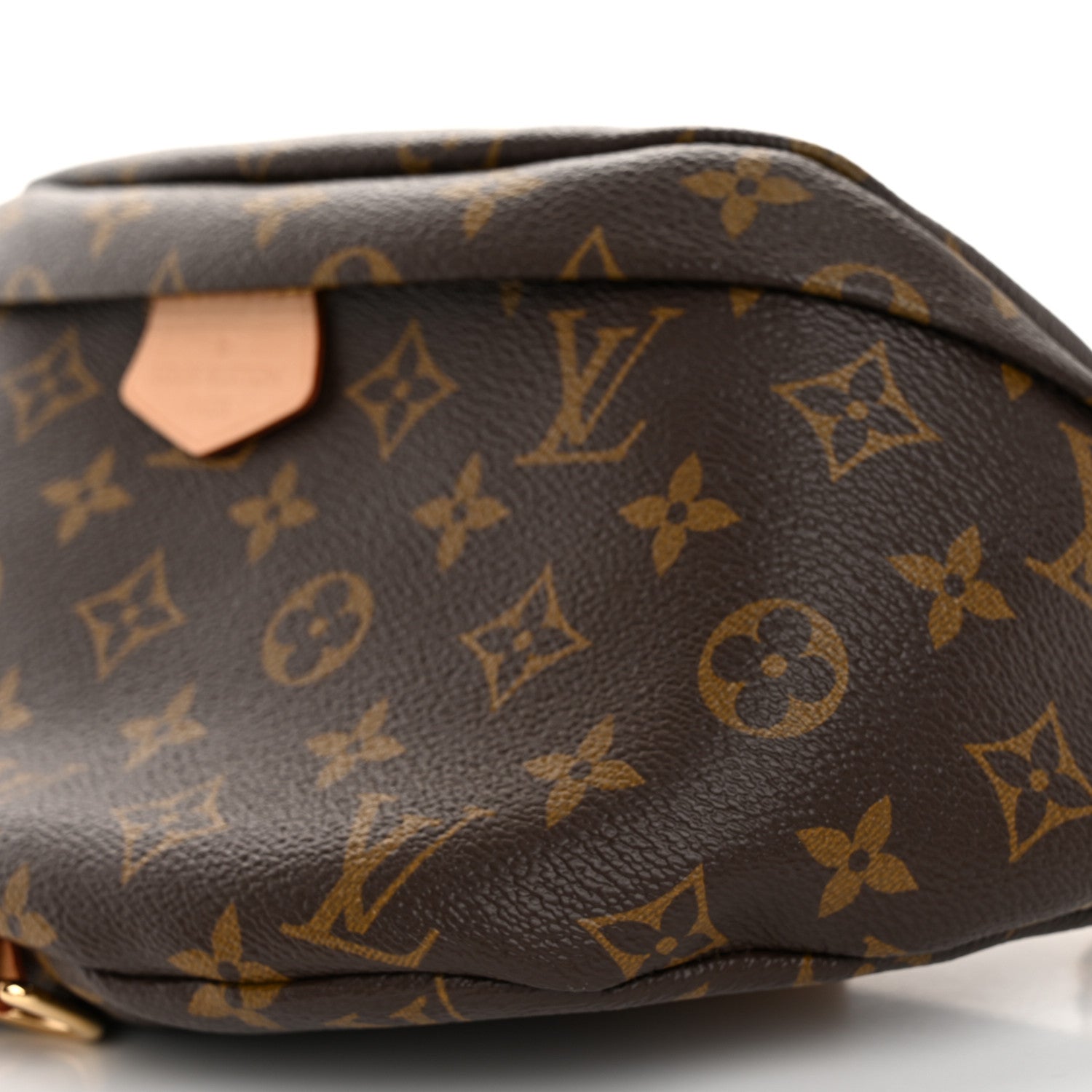Louis Vuitton LOUIS VUITTON Monogram Bumbag 9 of 9
