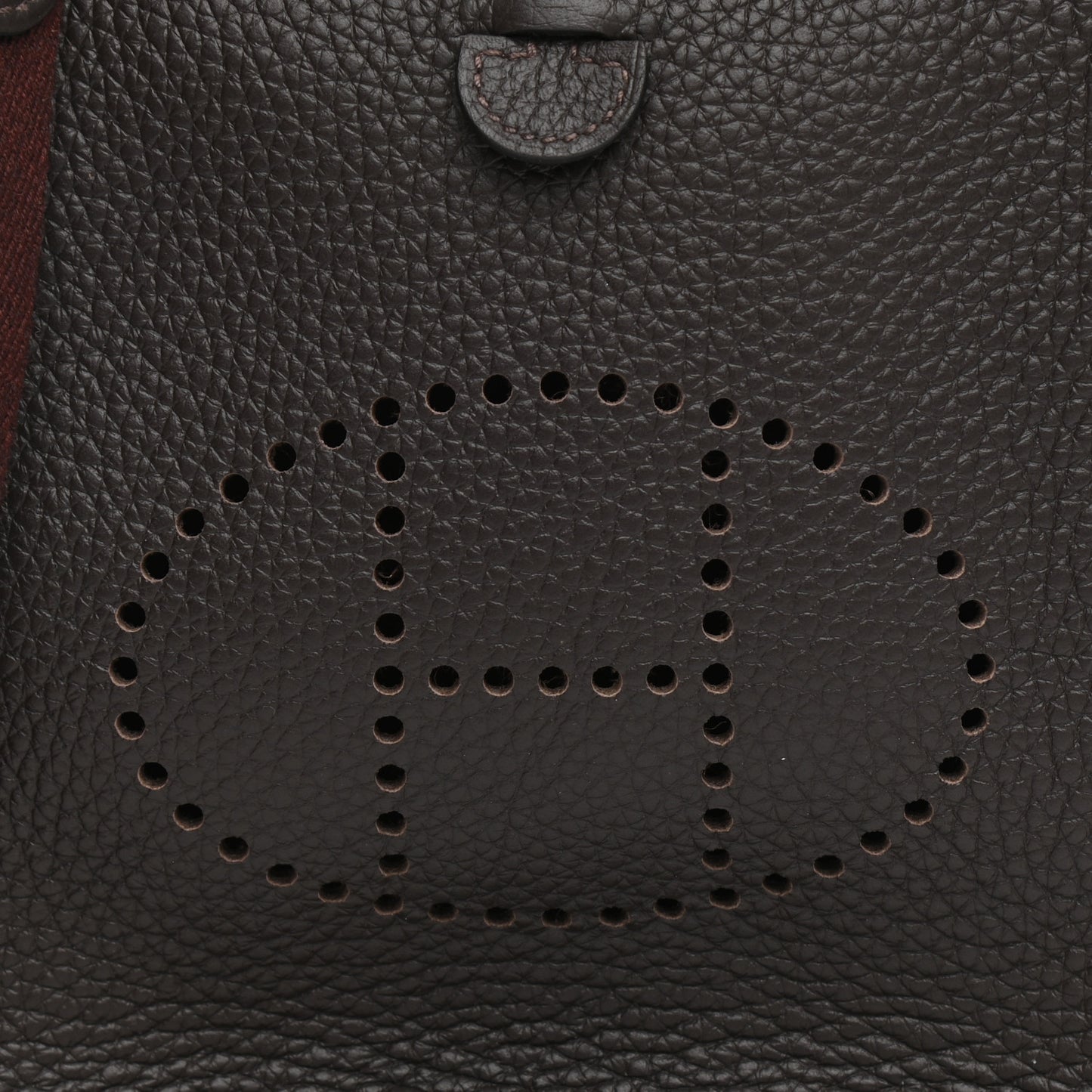 Taurillon Clemence Evelyne TPM Chocolate