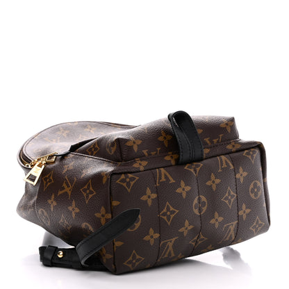 Louis Vuitton Monogram Palm Springs Backpack PM 4 of 12