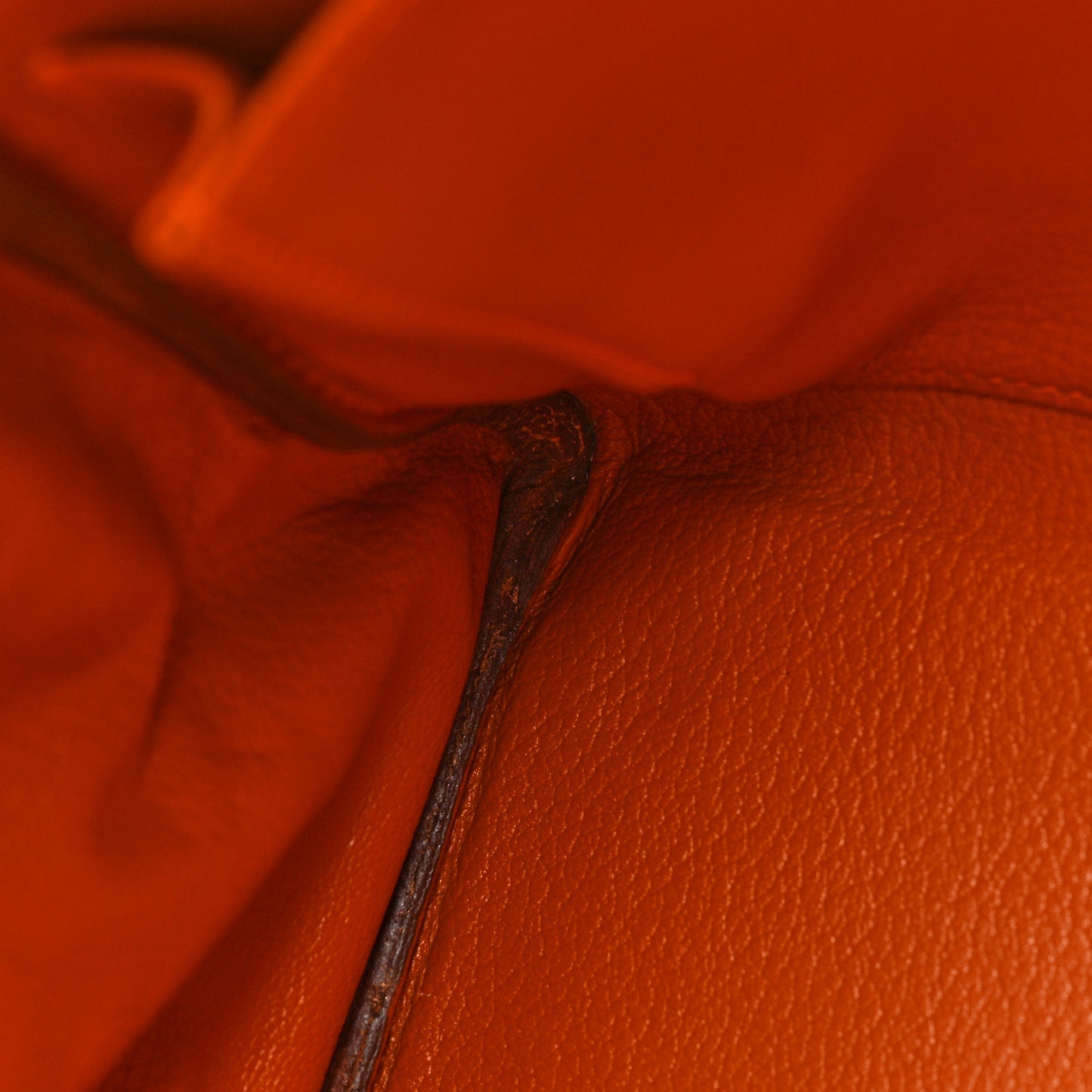Taurillon Clemence Kelly Retourne 35 Orange