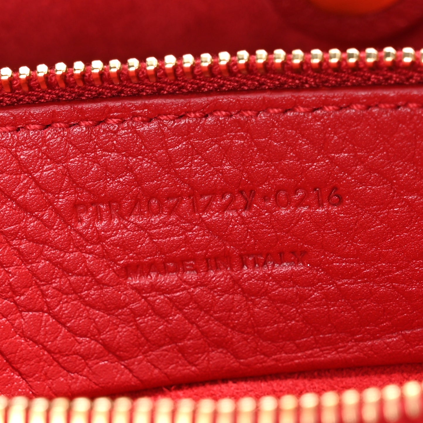 Calfskin Canvas Small Muse Two Red