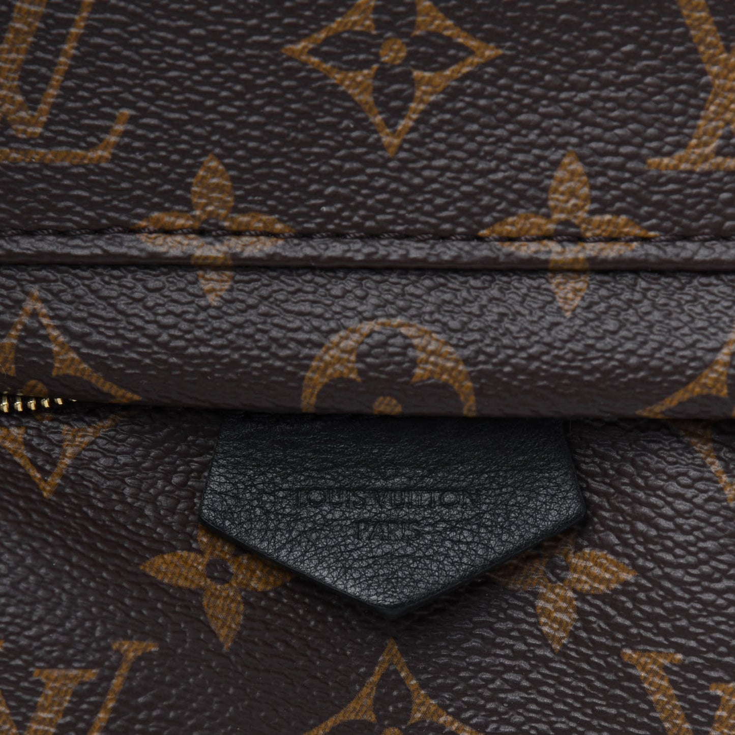 Monogram Palm Springs Backpack PM