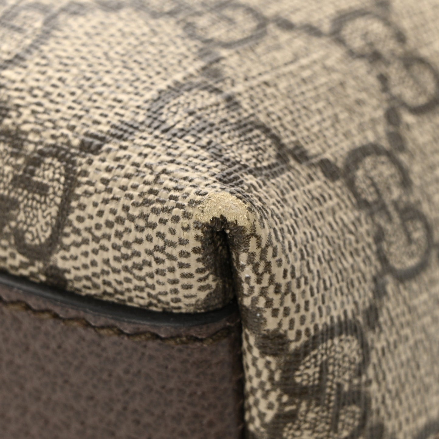 GG Supreme Monogram Textured Dollar Calfskin Web Small Ophidia Dome Shoulder Bag Beige Ebony New Acero
