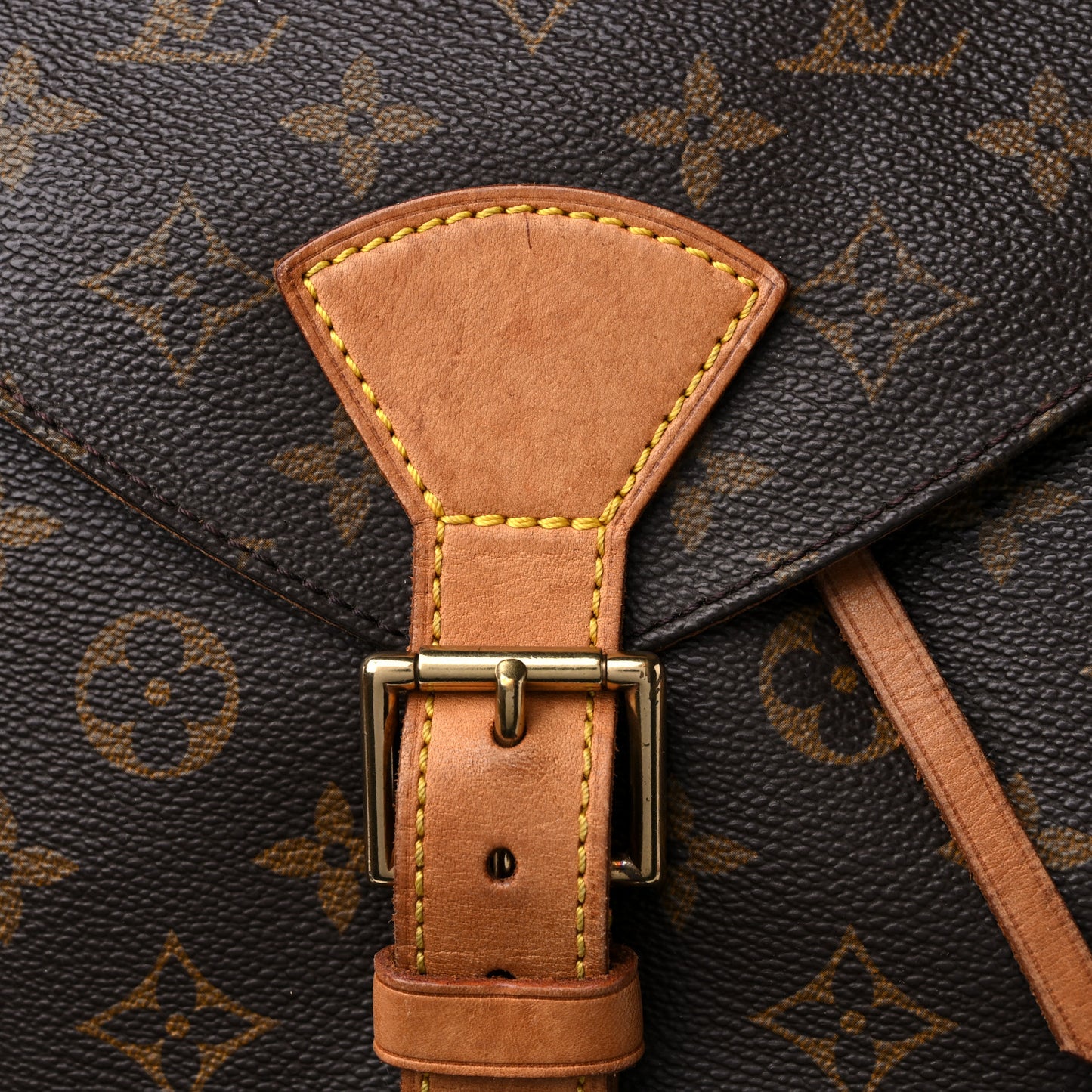Monogram Montsouris GM Backpack