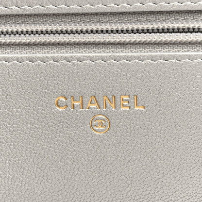 Chanel Metallic Lambskin Quilted Chanel 19 Wallet On Chain WOC Silver 6 of 11