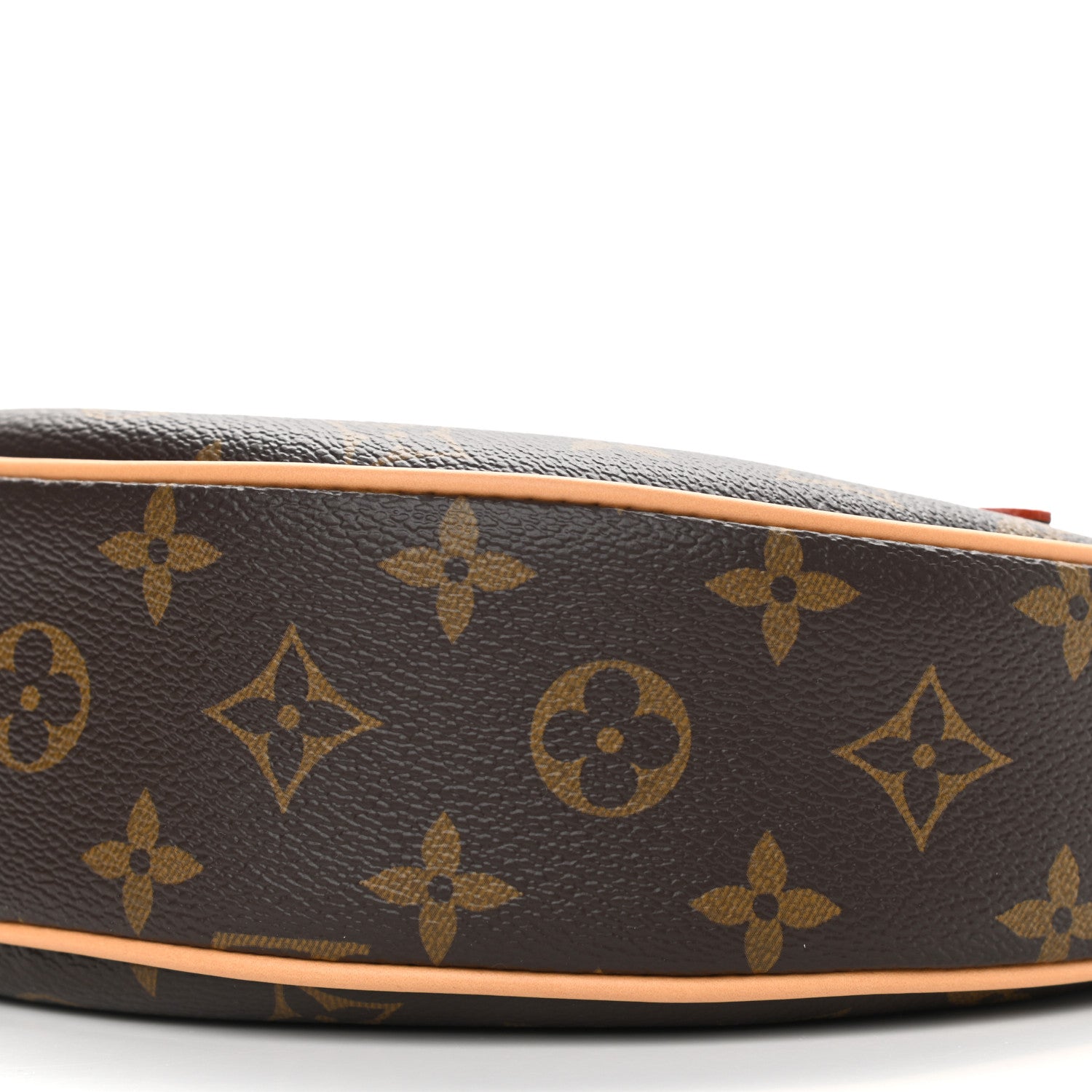 Louis Vuitton Monogram Loop 9 of 9