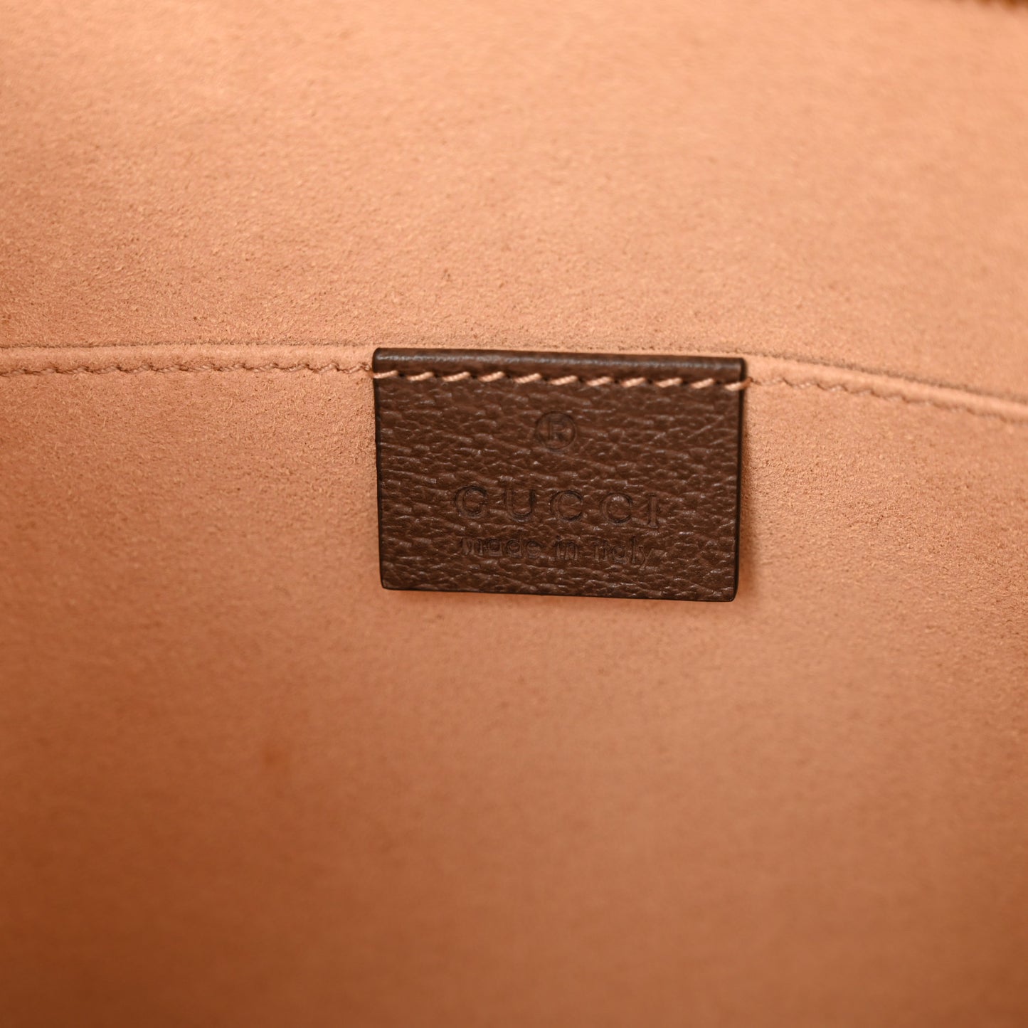 GG Supreme Monogram Web Ophidia Pouch Brown