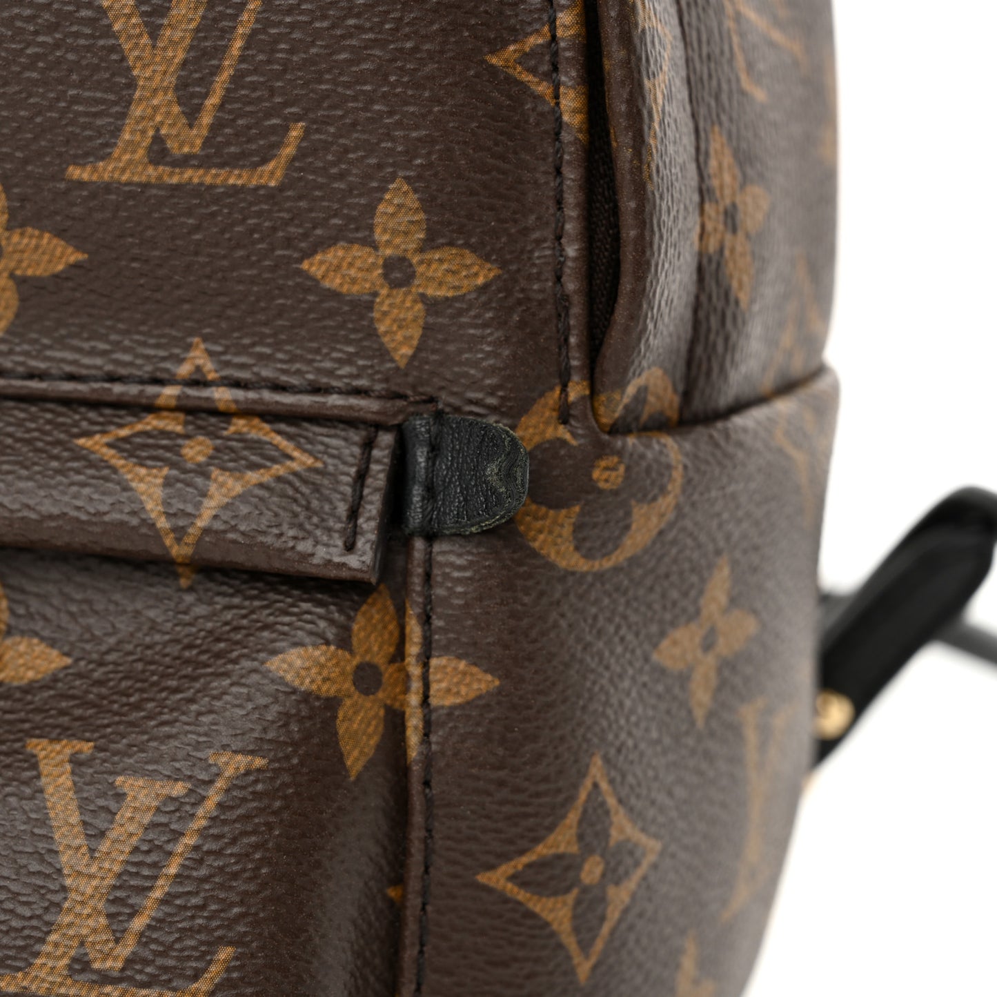 Monogram Palm Springs Backpack Mini
