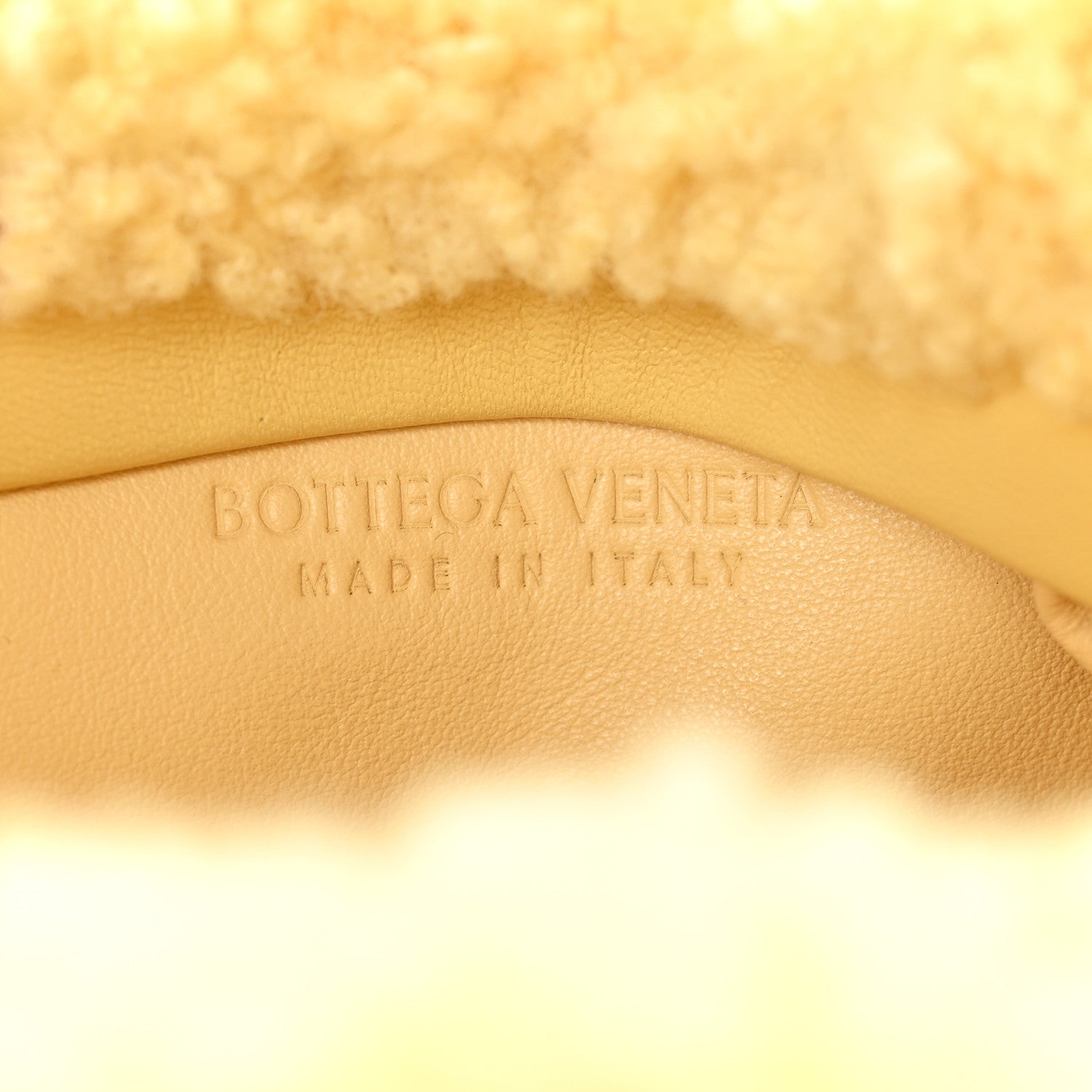 Bottega Veneta Shearling The Fringe Pouch Teddy 6 of 10