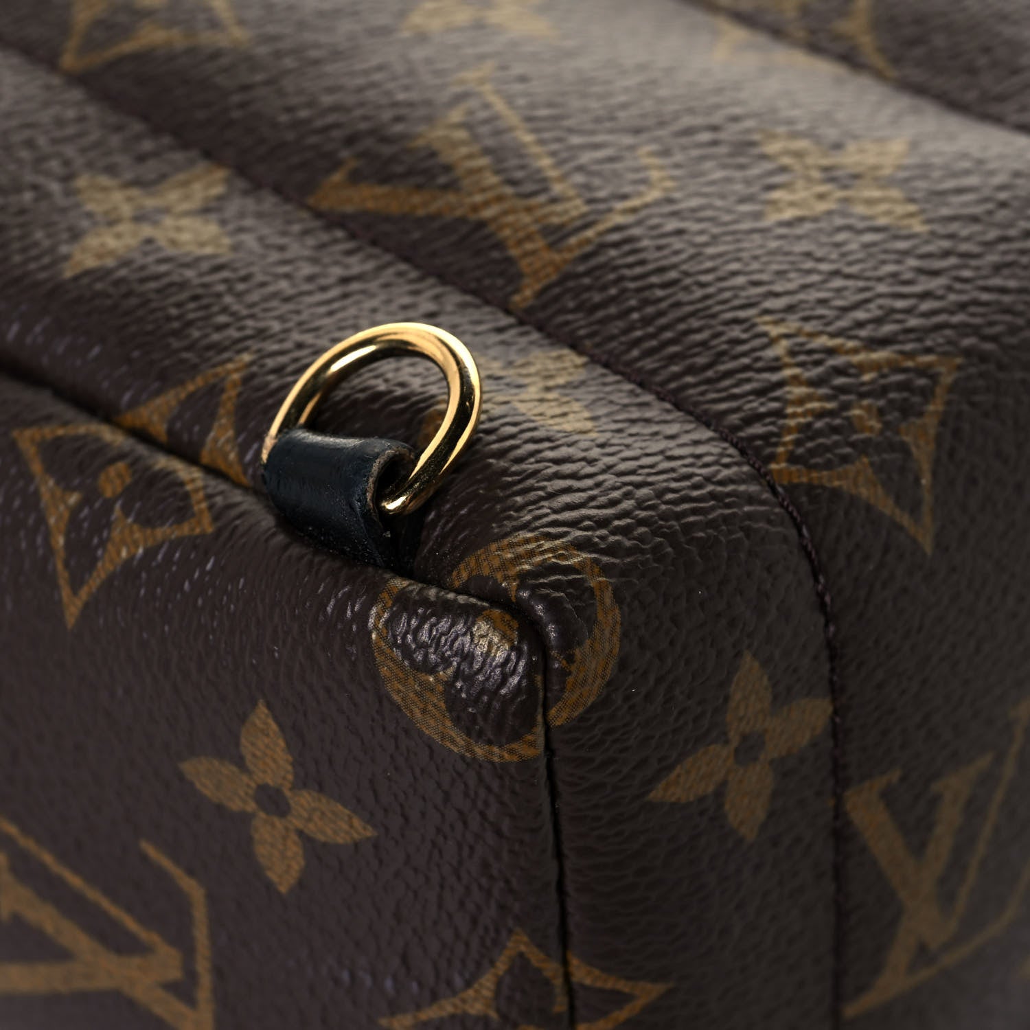 Louis Vuitton Monogram Palm Springs Backpack Mini 11 of 13