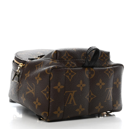 Louis Vuitton Monogram Palm Springs Backpack Mini 3 of 4