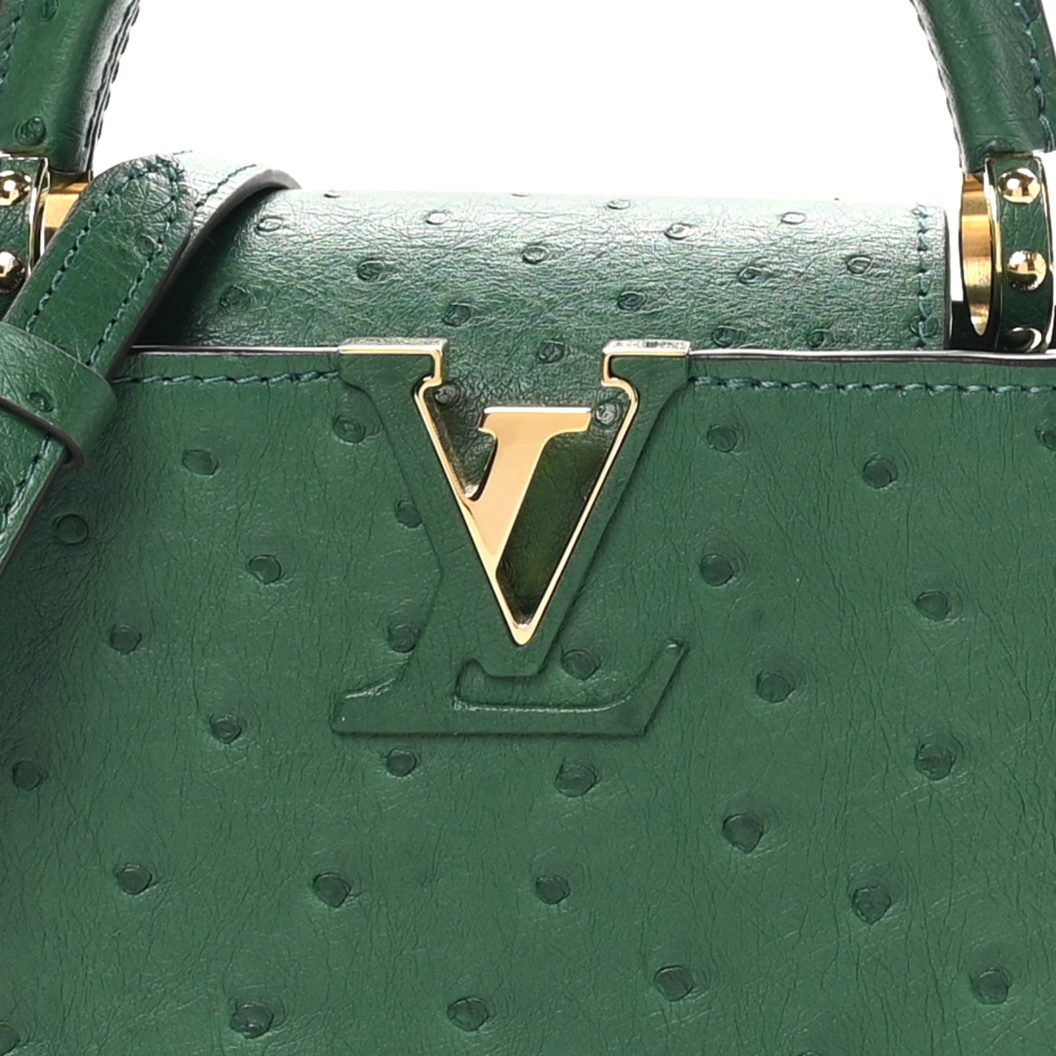 Louis Vuitton Ostrich Capucines Mini Mint 7 of 10