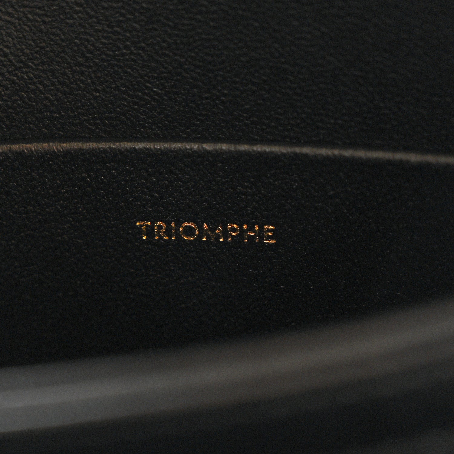 Celine Shiny Calfskin Teen Triomphe Black 7 of 10