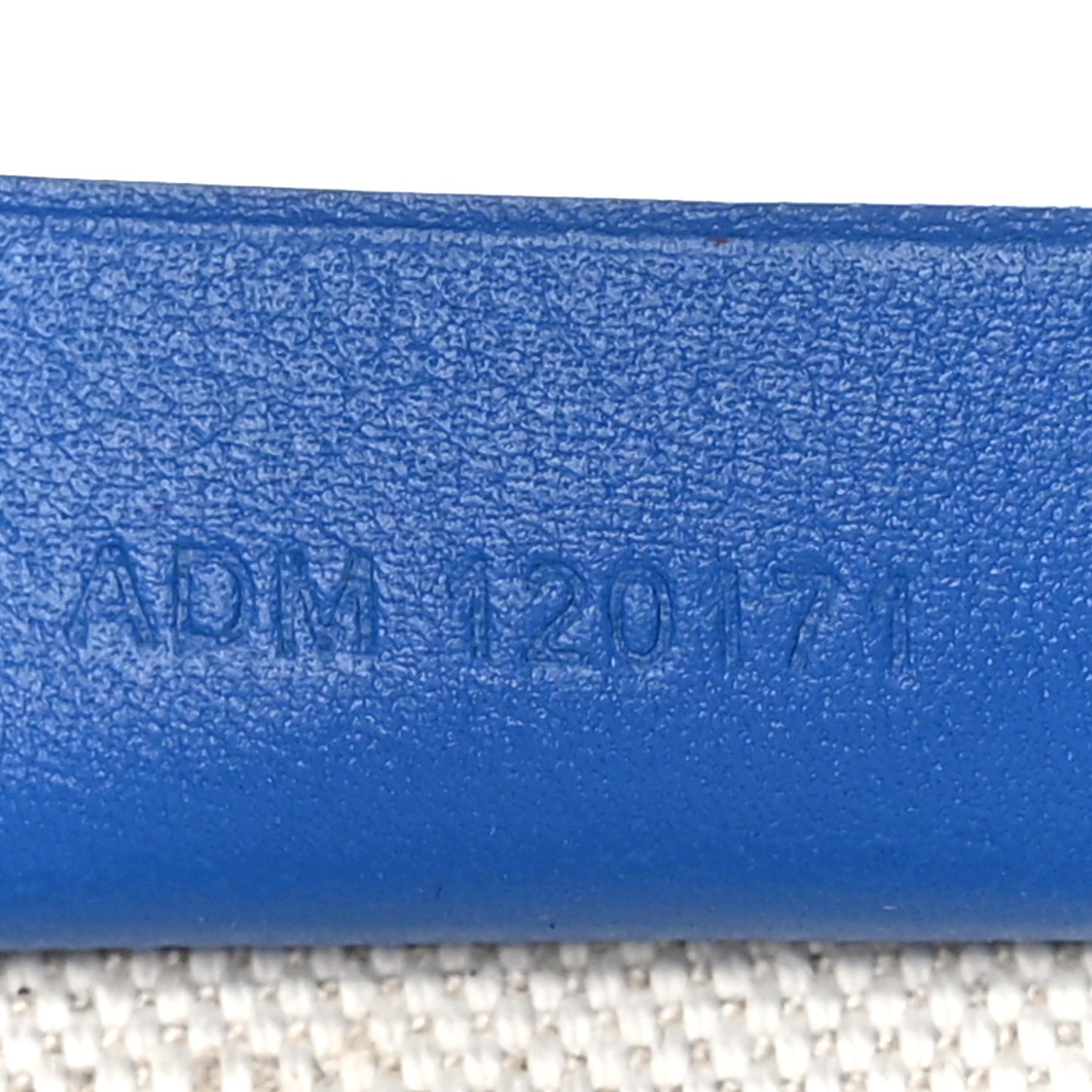 Goyardine Poitiers Tote Blue