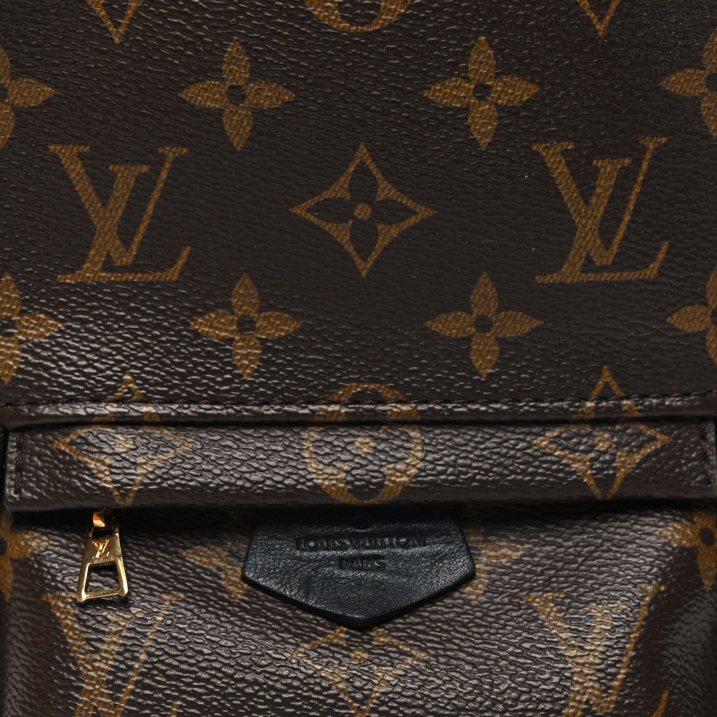 Monogram Palm Springs Backpack Mini
