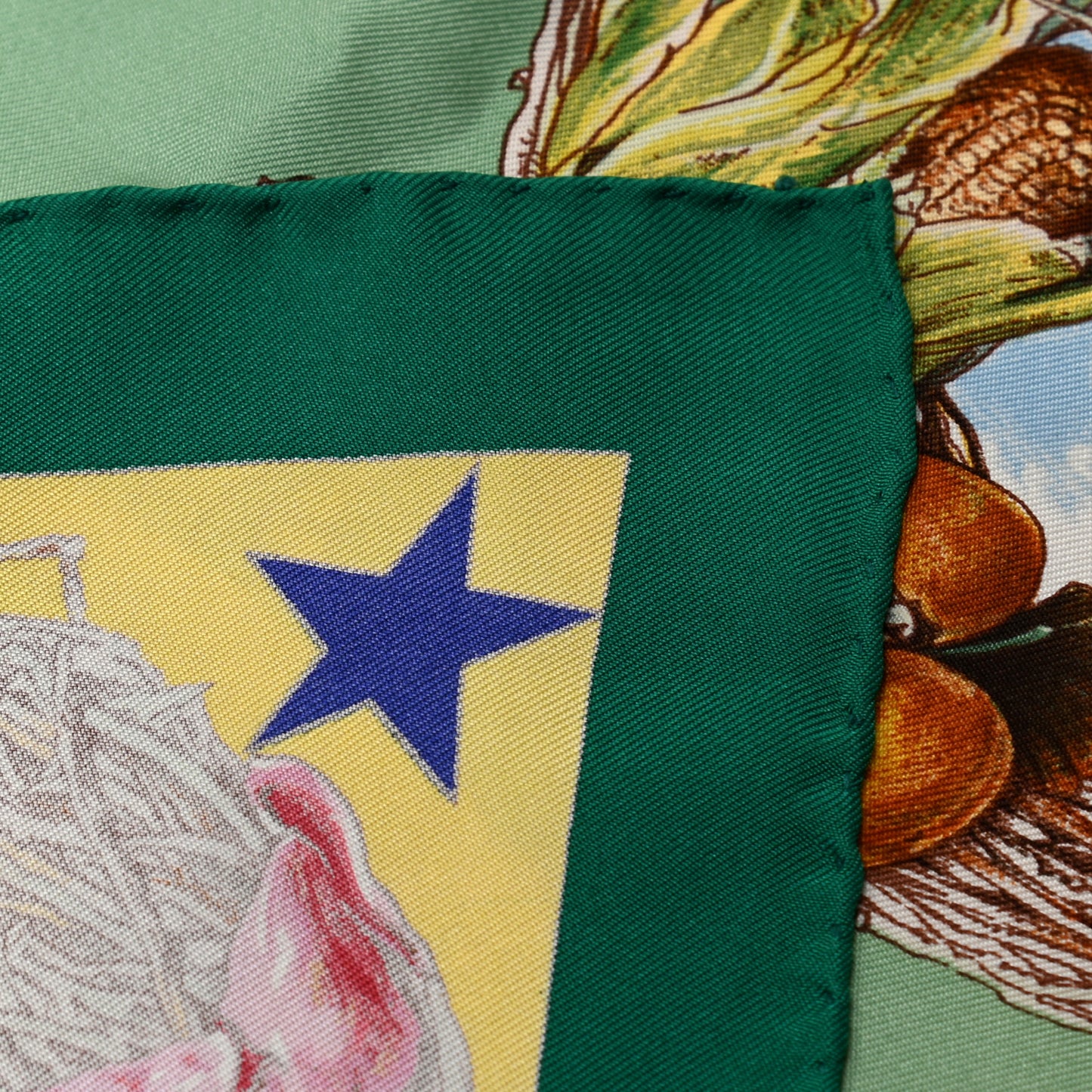 Silk Faune Et Flore Du Texas Scarf