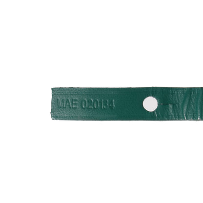 Goyard Goyardine Saint Louis PM Green 7 of 10