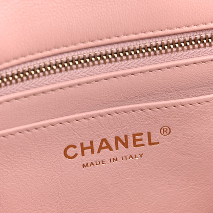 Chanel Lambskin Quilted Small Sweet Camellia Flap Light Pink 6 of 12