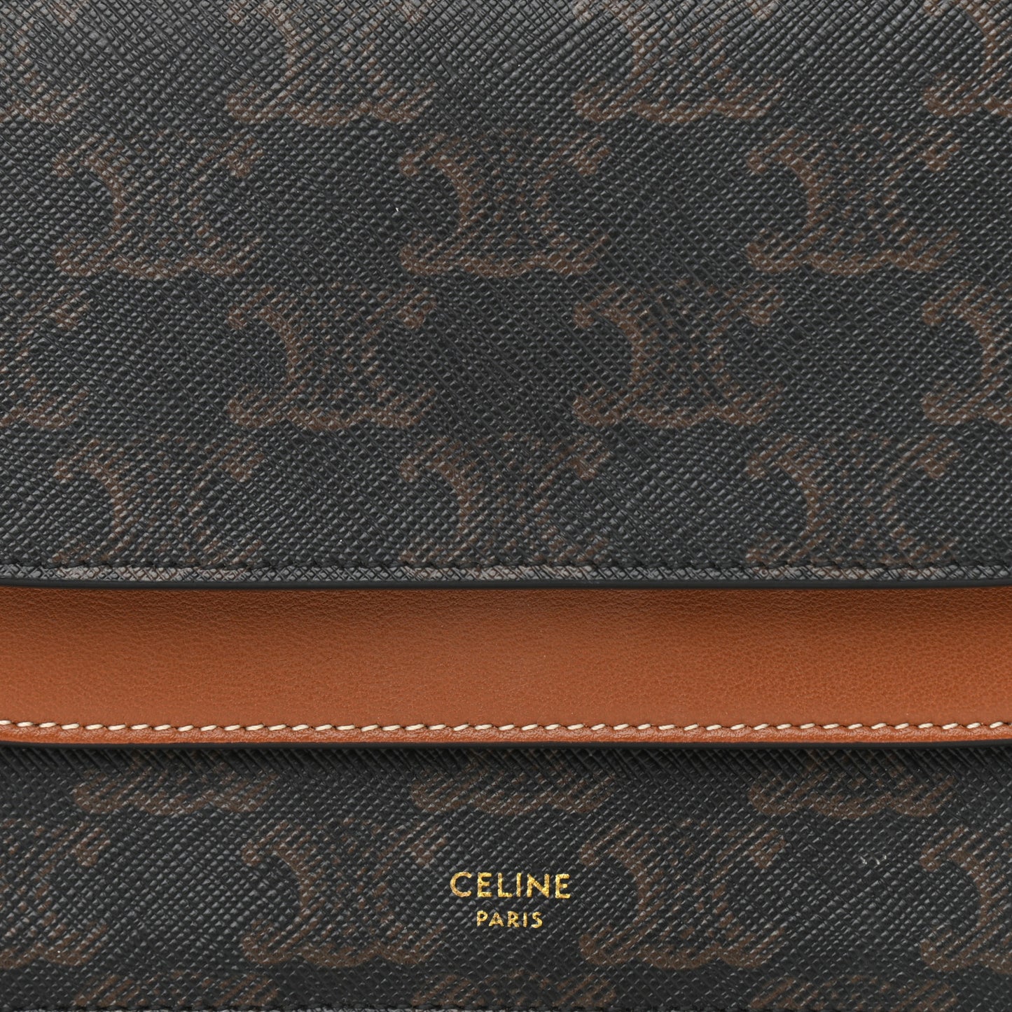 Triomphe Canvas Lambskin Wallet On Strap Tan