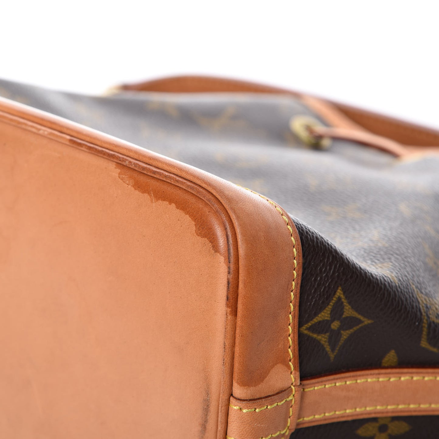 Monogram Mini Noe