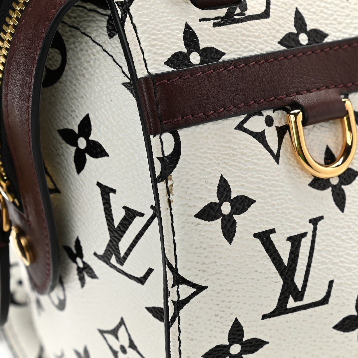 Monogram Speedy Amazon PM White Chocolat