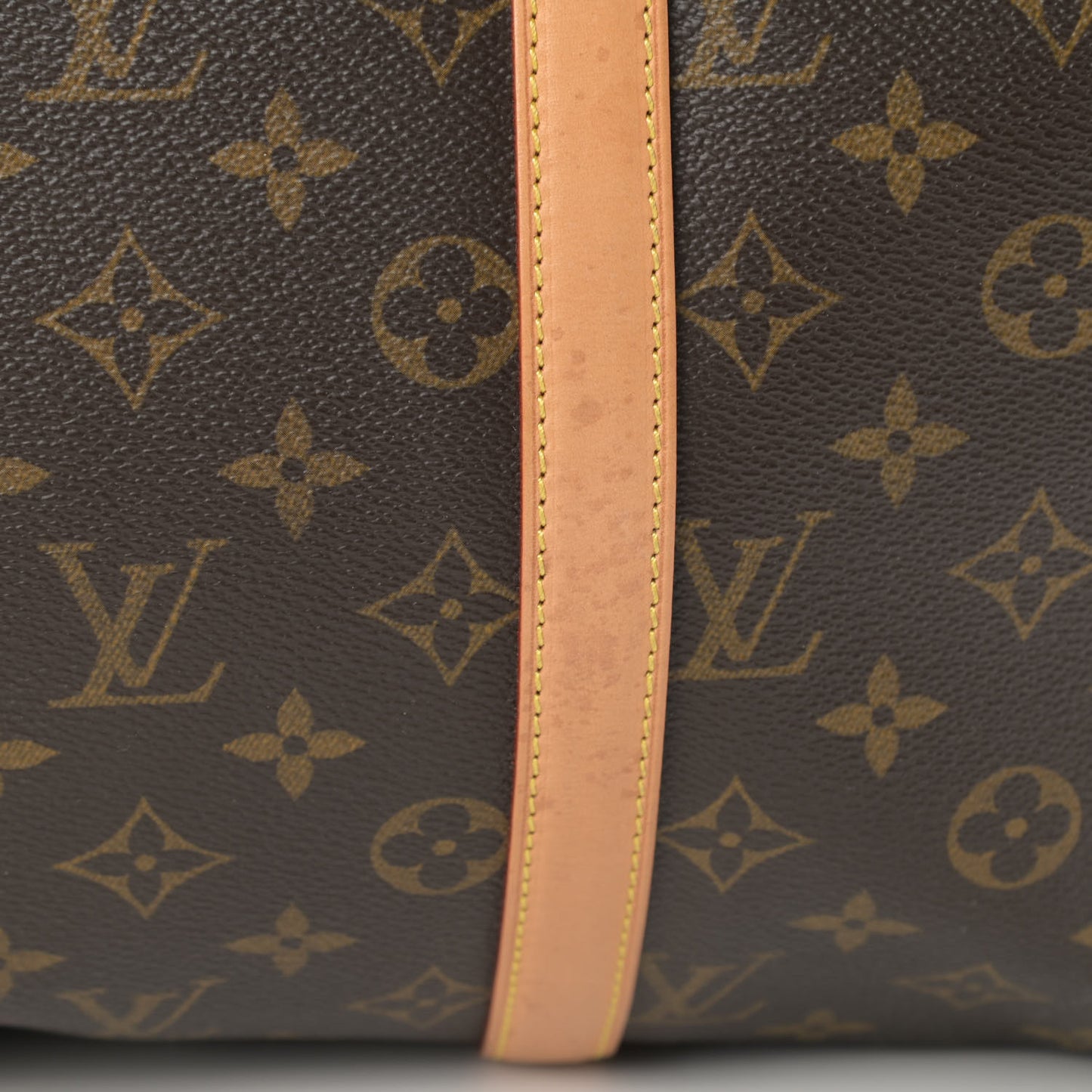 Monogram Sofia Coppola Speedy
