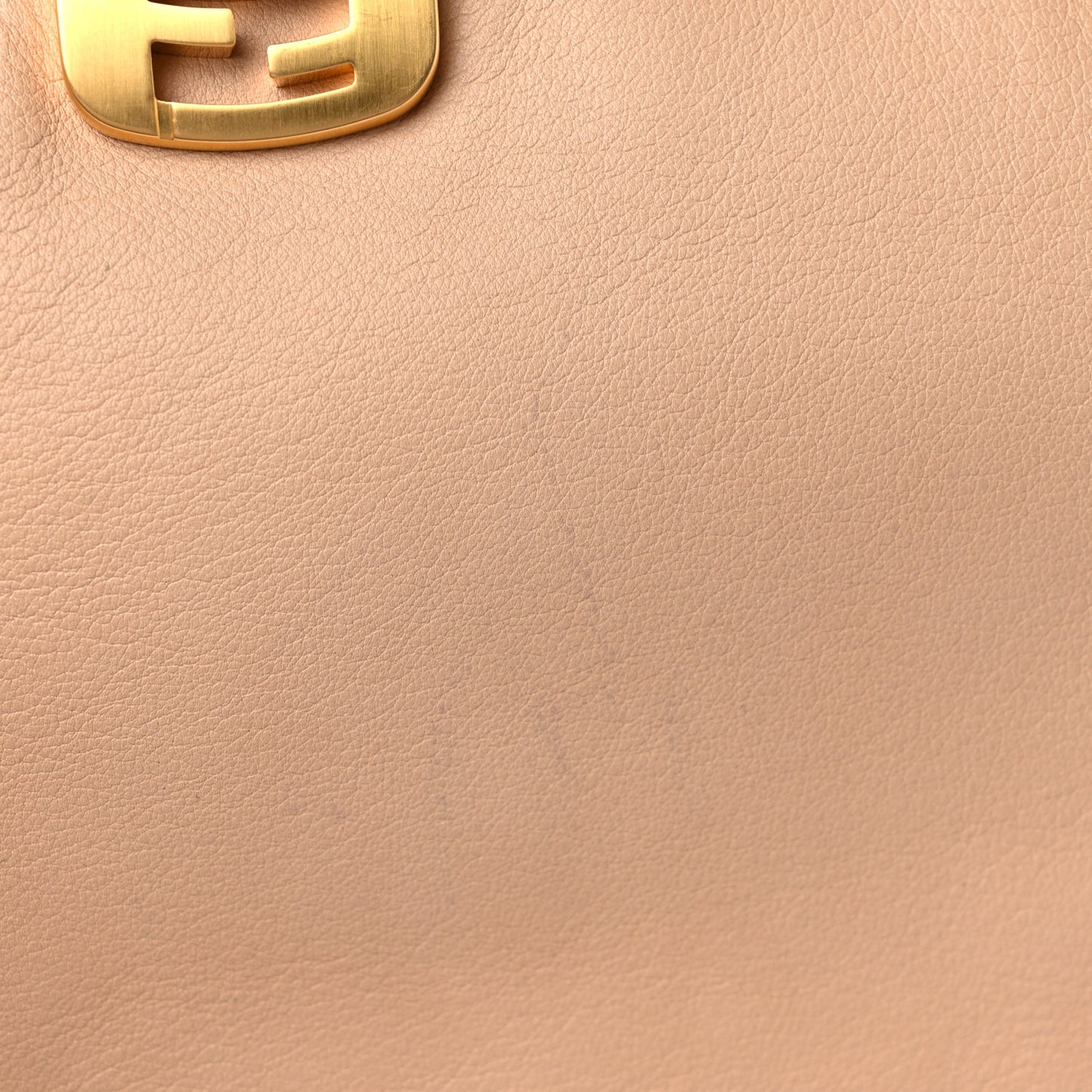 Capra Vitello Dolce Marmol Colorblock Small Chameleon Tote Cipria Makeup Camel