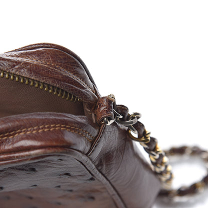 Chanel Ostrich Tassel Camera Case Brown 11 of 24