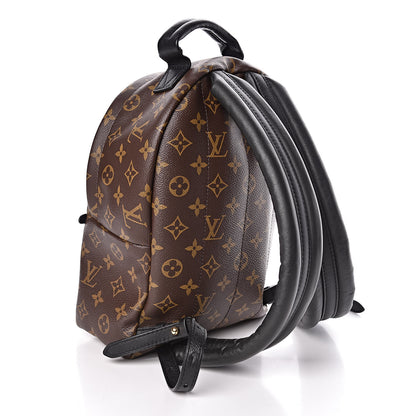Louis Vuitton Monogram Palm Springs Backpack PM 3 of 10