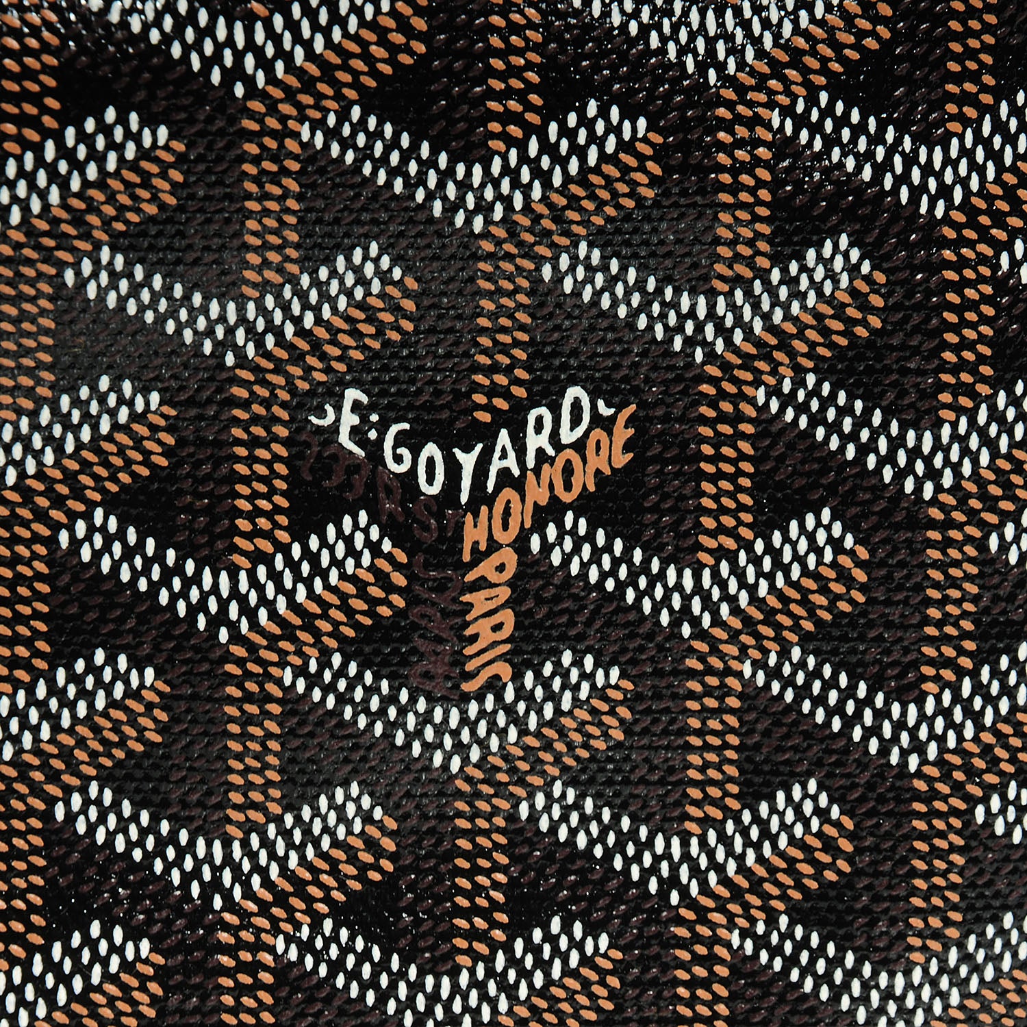 Goyard Goyardine Saint Louis PM Black 21 of 29