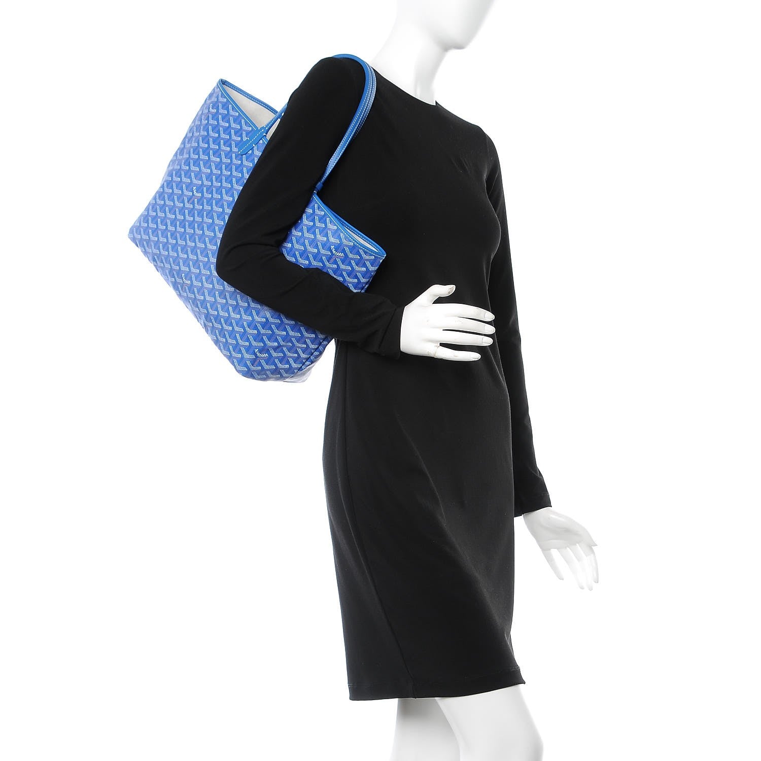 Goyard Goyardine Saint Louis PM Sky Blue 2 of 8