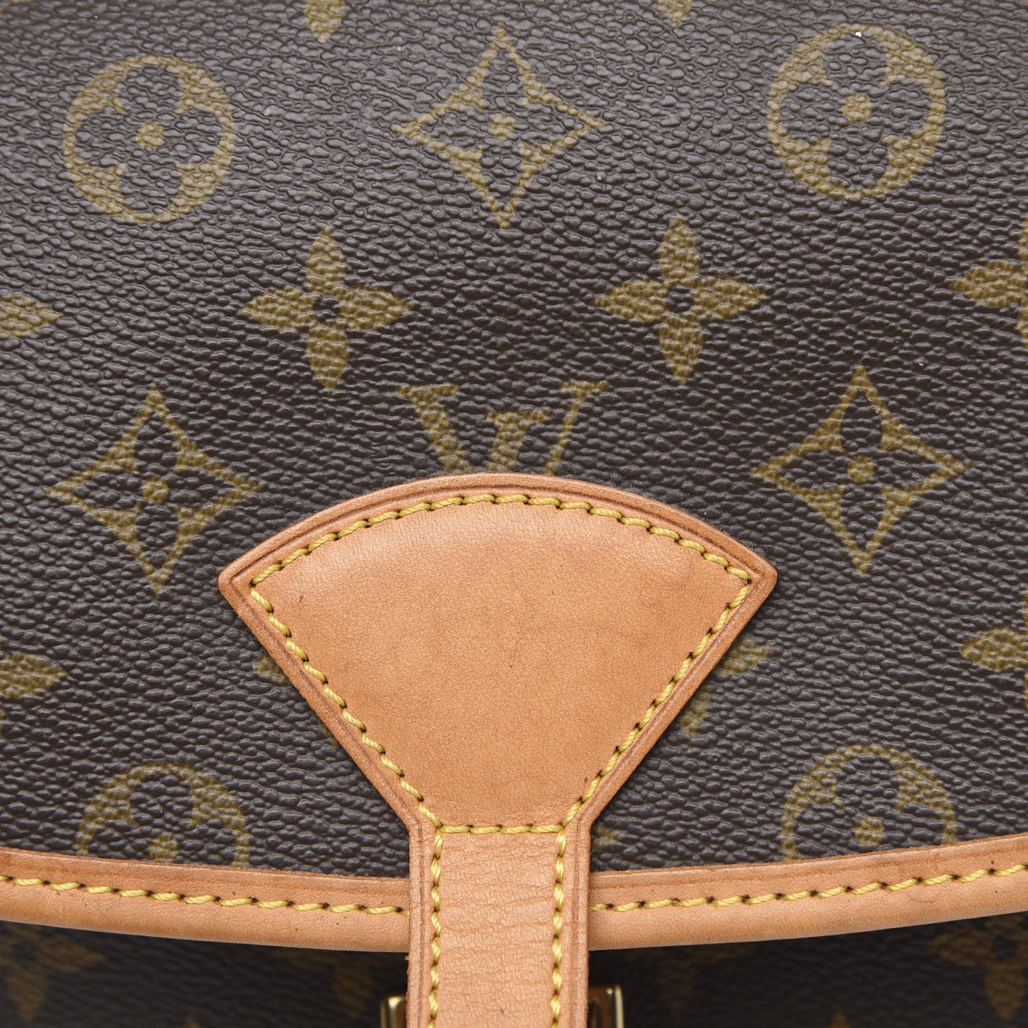 Louis Vuitton Monogram Sologne 10 of 14