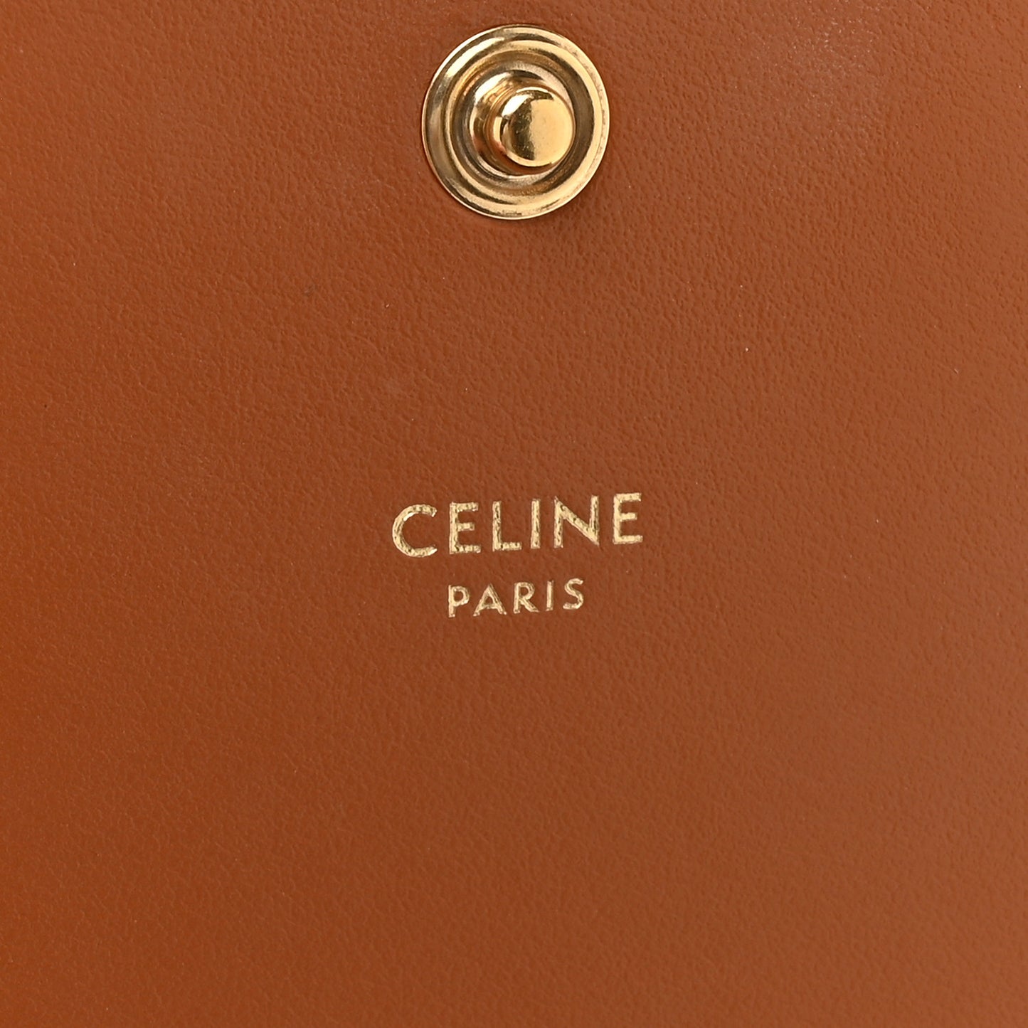 Triomphe Canvas Multipochette Tan