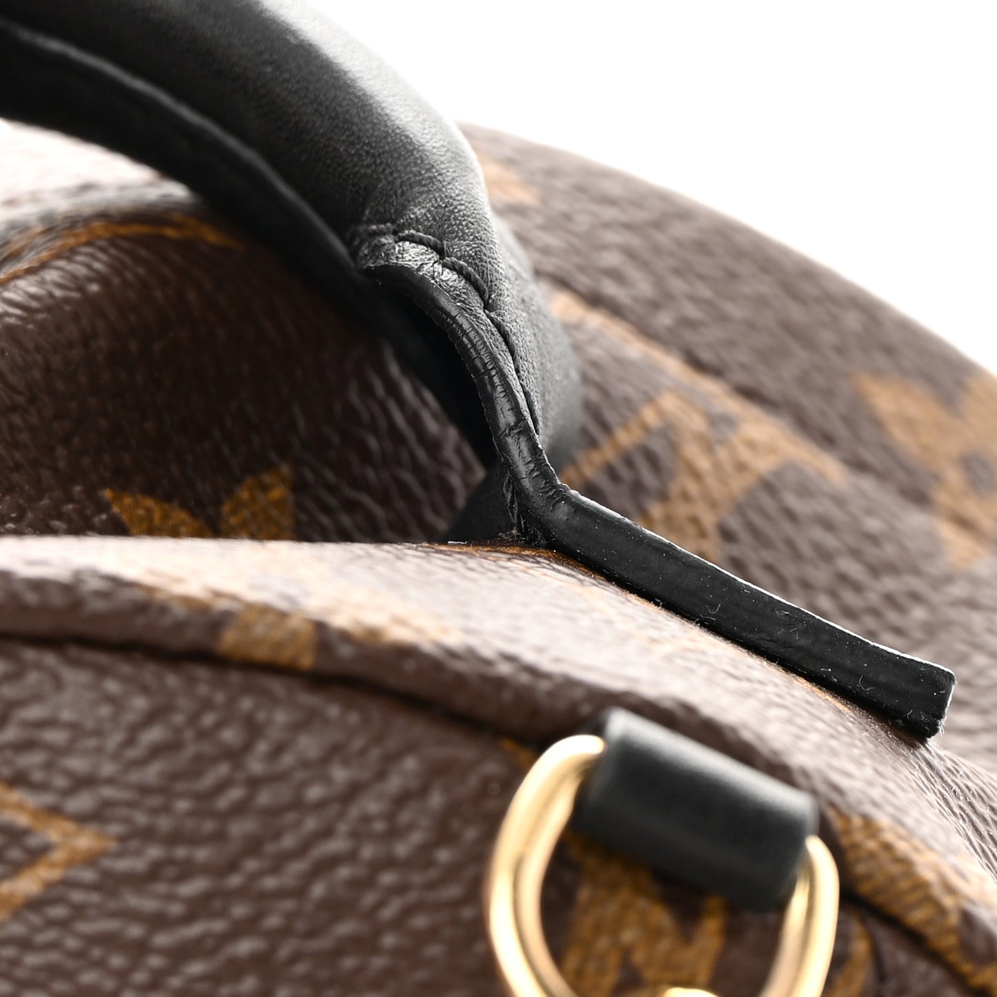 Monogram Palm Springs Backpack Mini