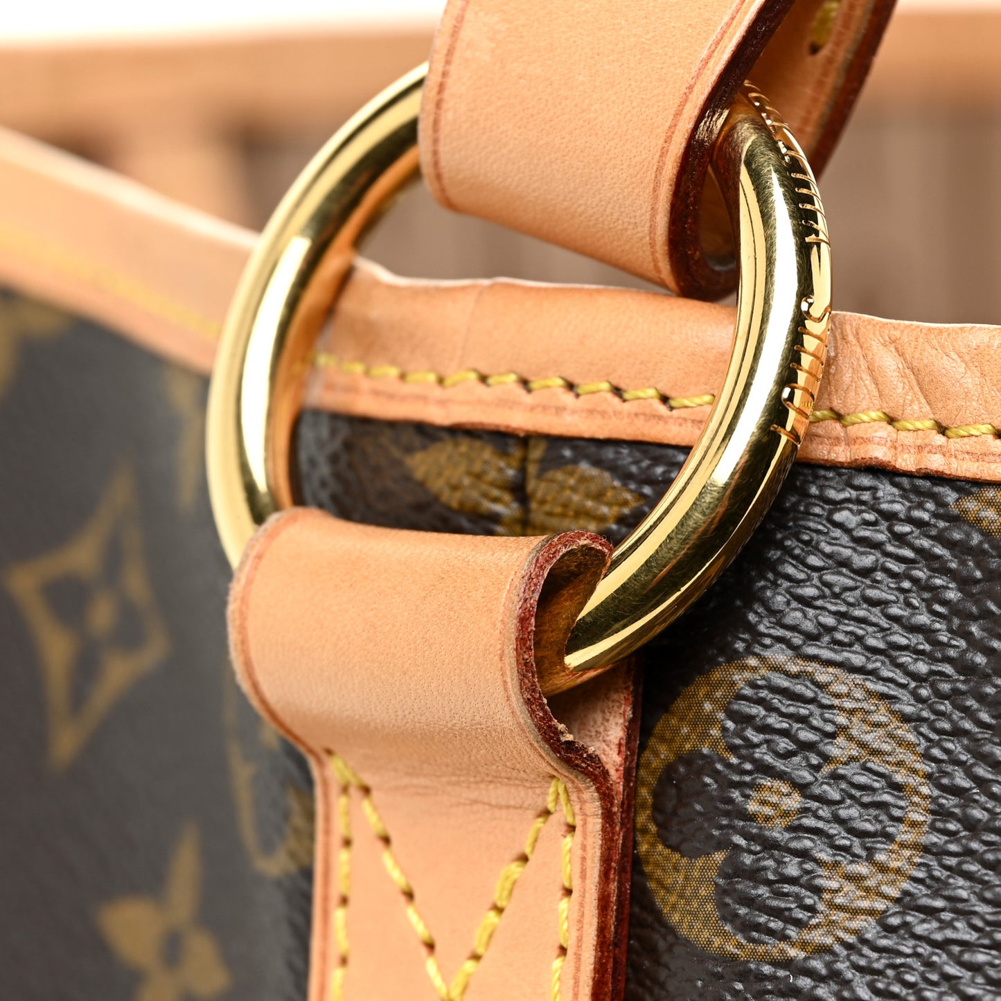 Monogram Delightful PM
