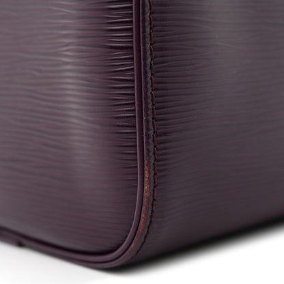 Louis Vuitton Epi Speedy 25 Cassis 9 of 10