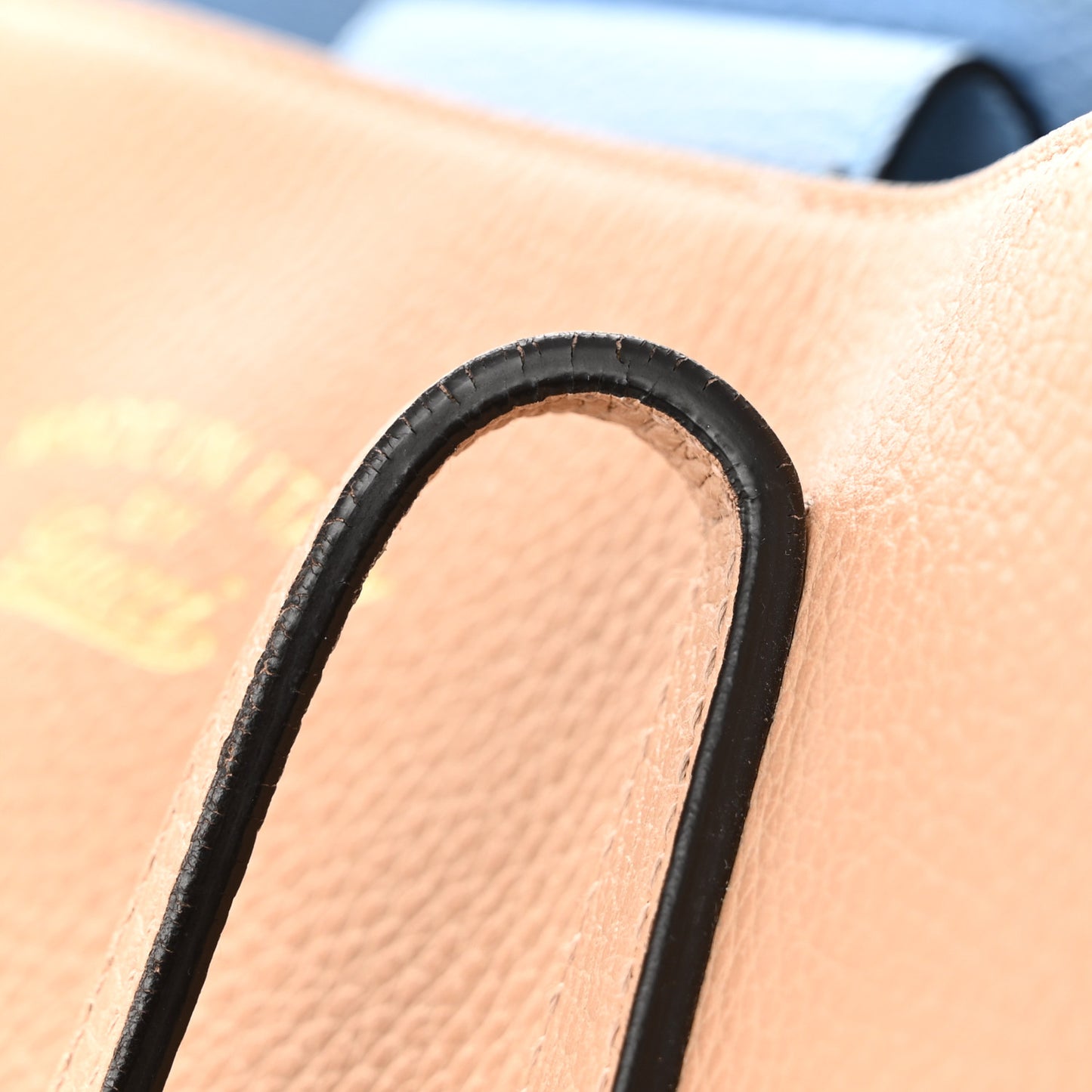 Dollar Calfskin Medium Swing Tote Camelia Mineral Blue