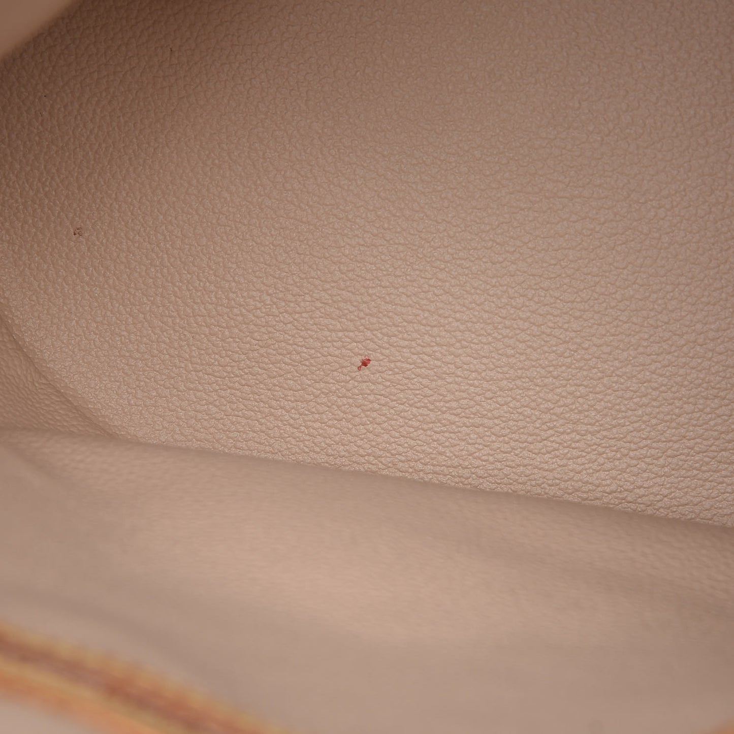 Monogram Petit Bucket 23