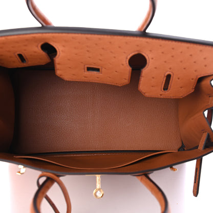 Hermes Ostrich Birkin 30 Cognac 4 of 10