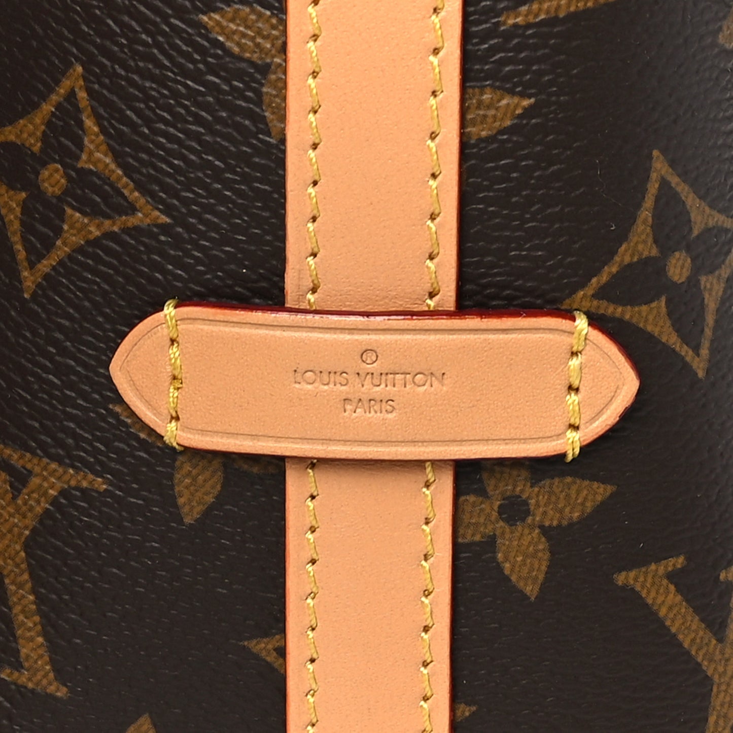 Monogram Carryall PM