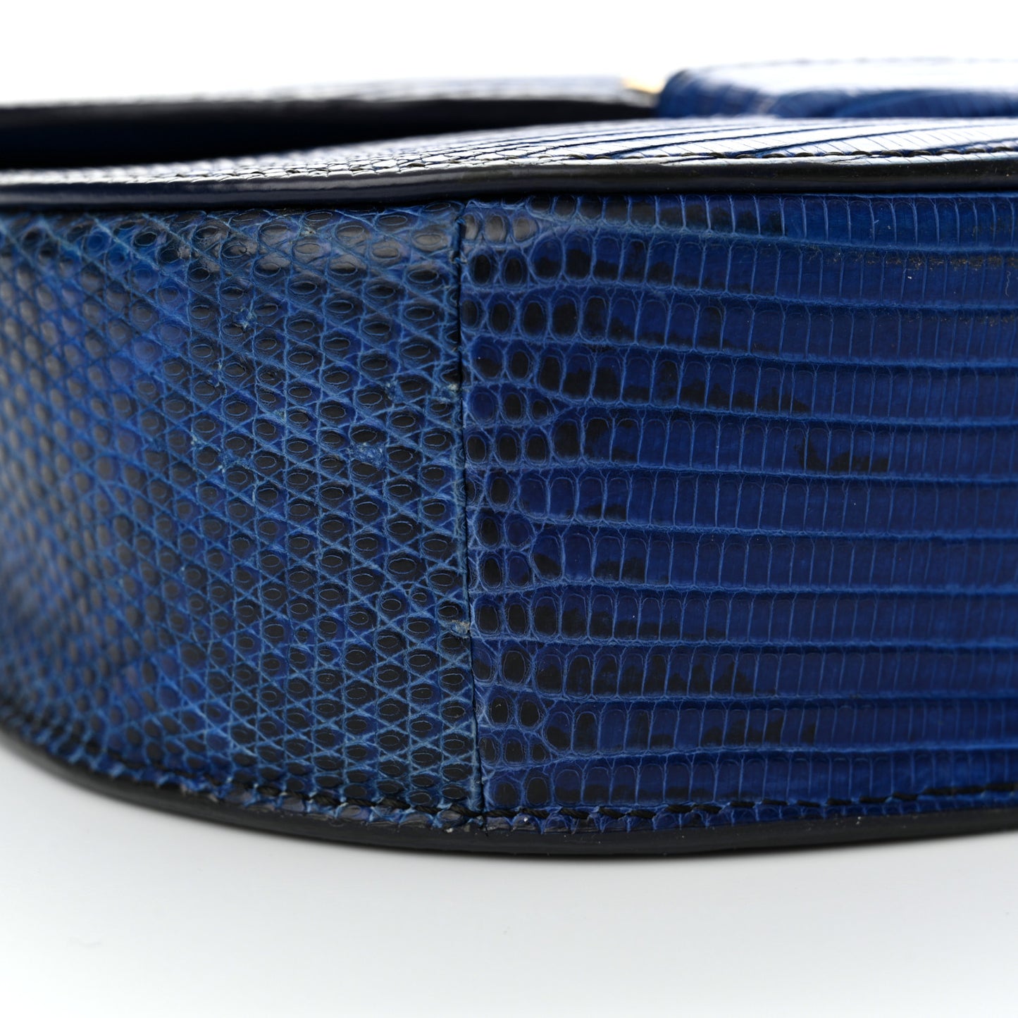 Lizard Small Trotteur Blue