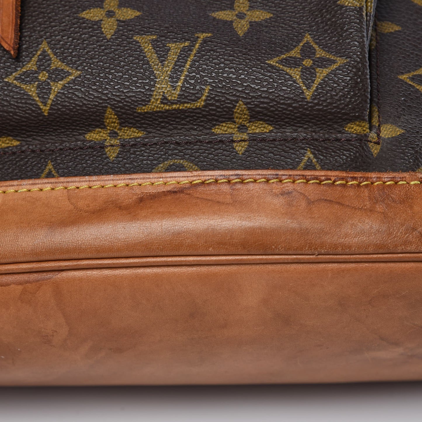 Monogram Montsouris GM Backpack