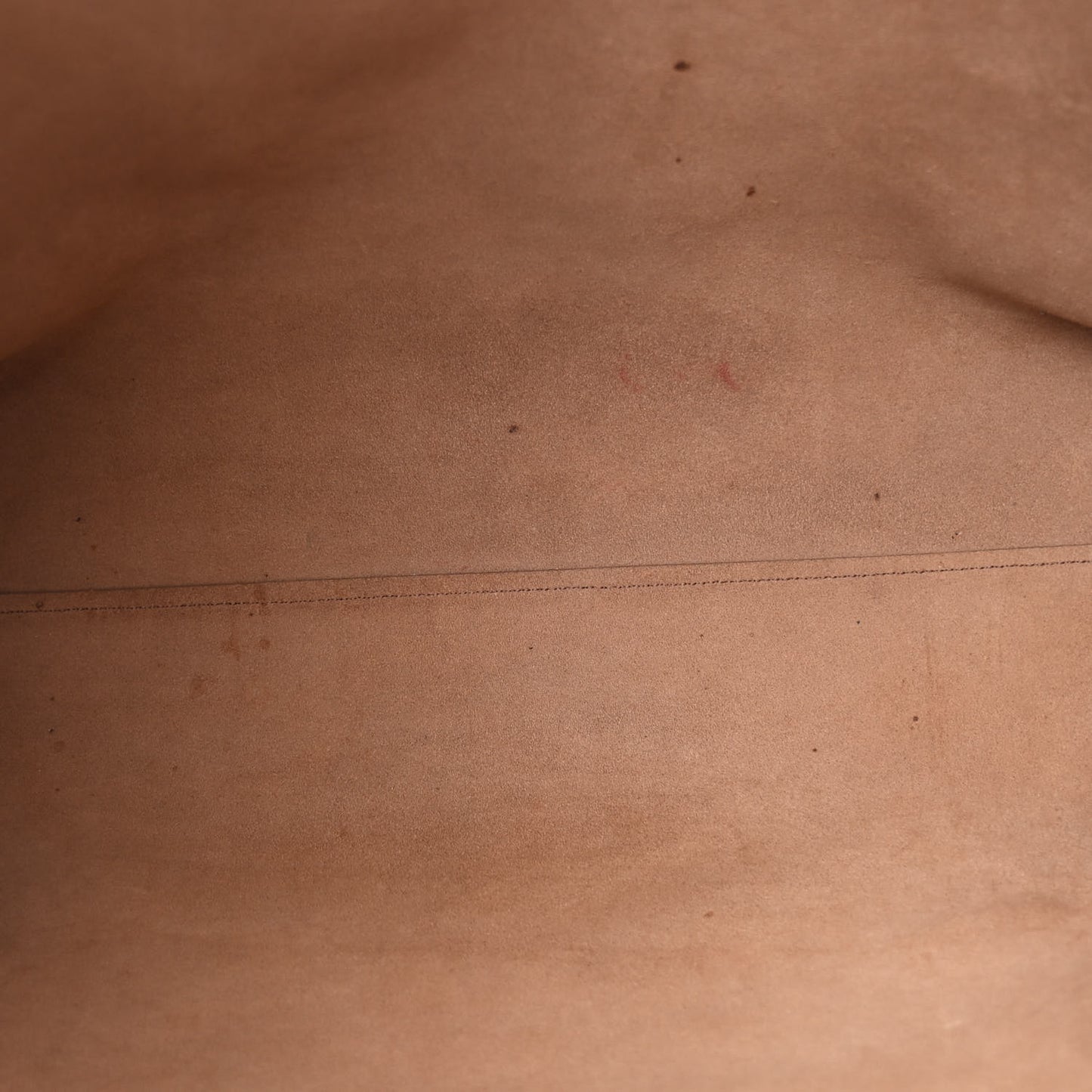 Calfskin Large Shopping Tote Fard