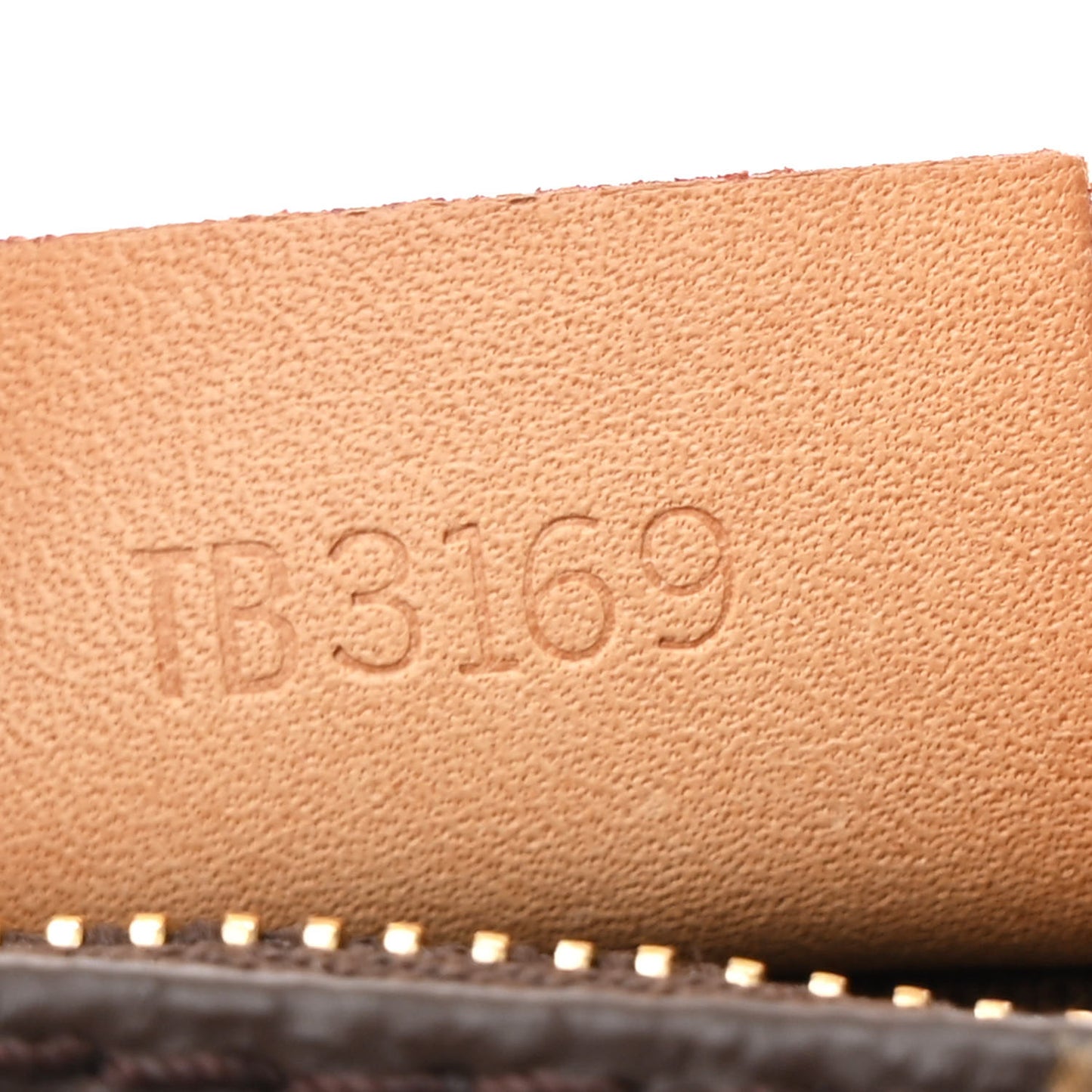 Monogram Nano Speedy