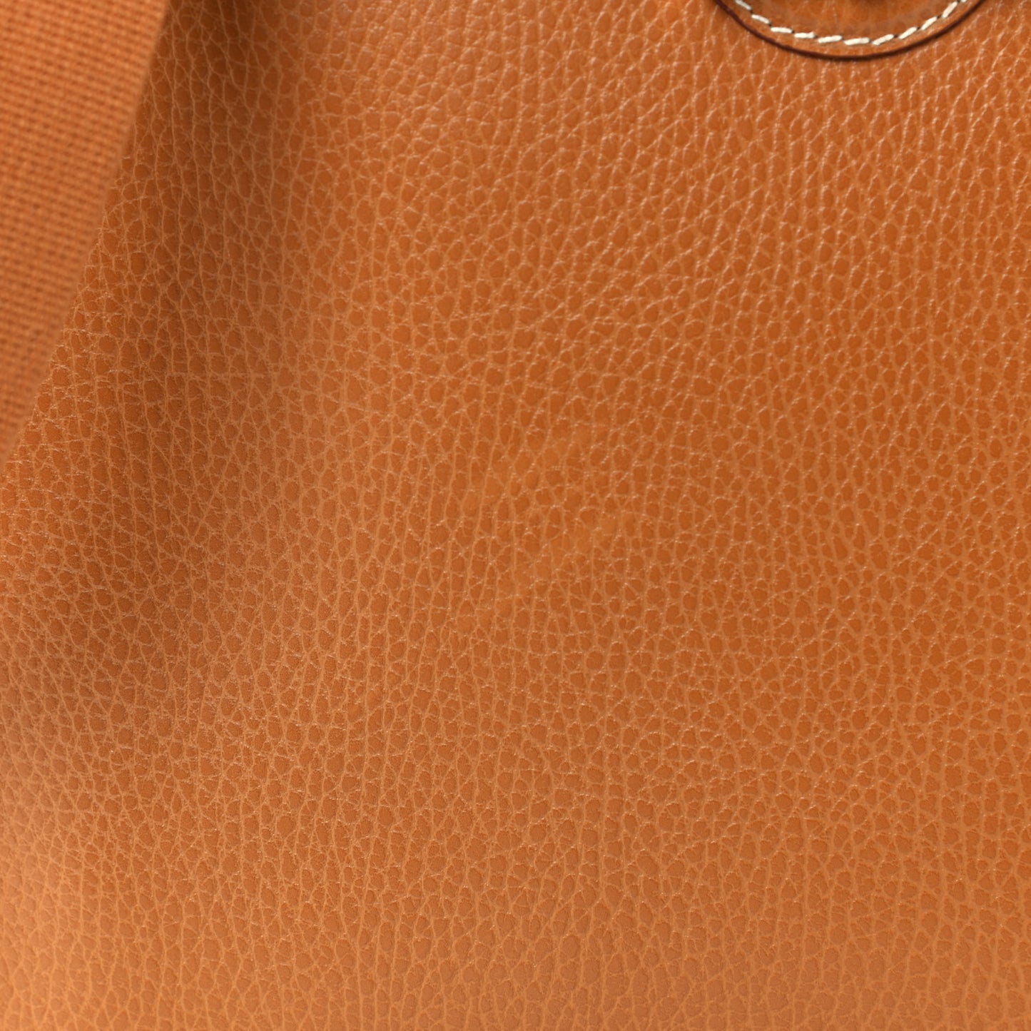 Evergrain Vespa PM Gold