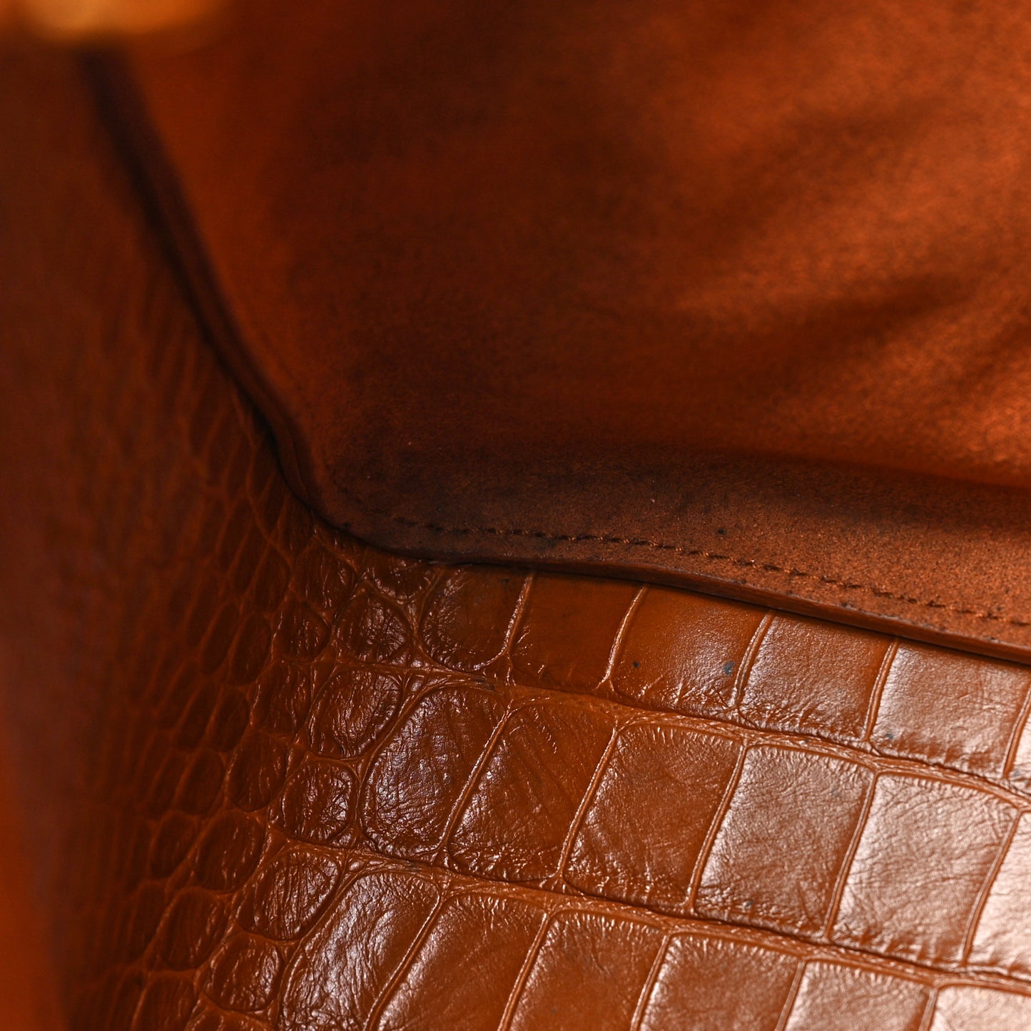 Extra Supple Calfskin Crocodile Embossed Small Tool 2.0 North-South Tote Camel