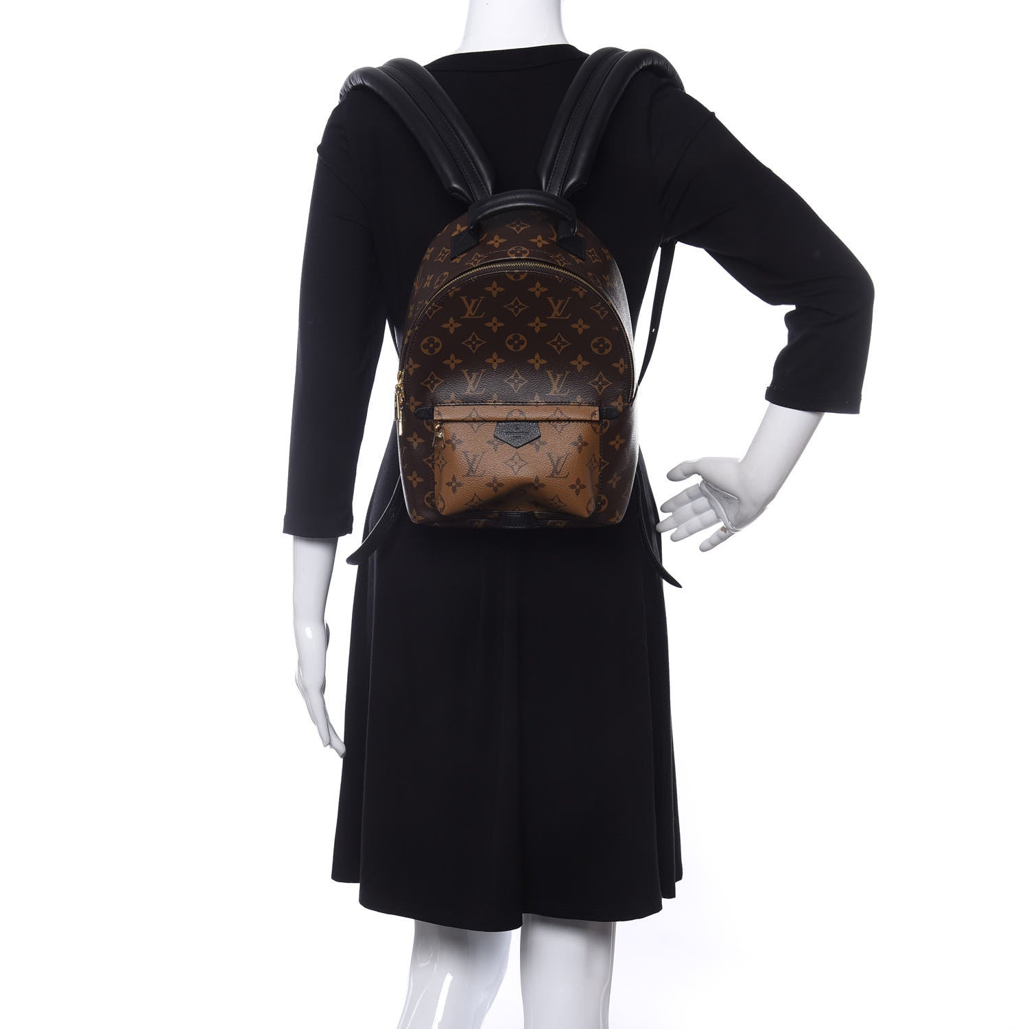 Louis Vuitton Reverse Monogram Palm Springs Backpack PM 2 of 11